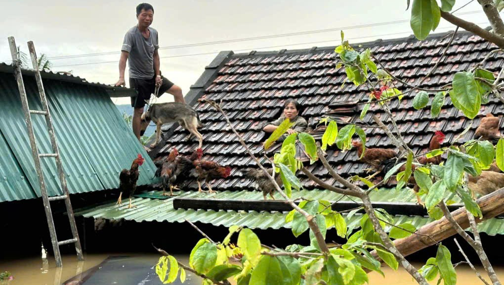 Urgent Help for Quang Nam Flood Victims photo