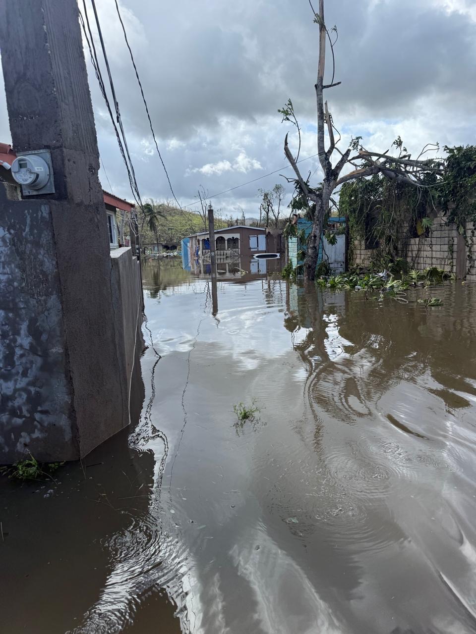 Support Wakefield, Trelawny Families Devastated by Hurricane campaign photo, 2 of 8