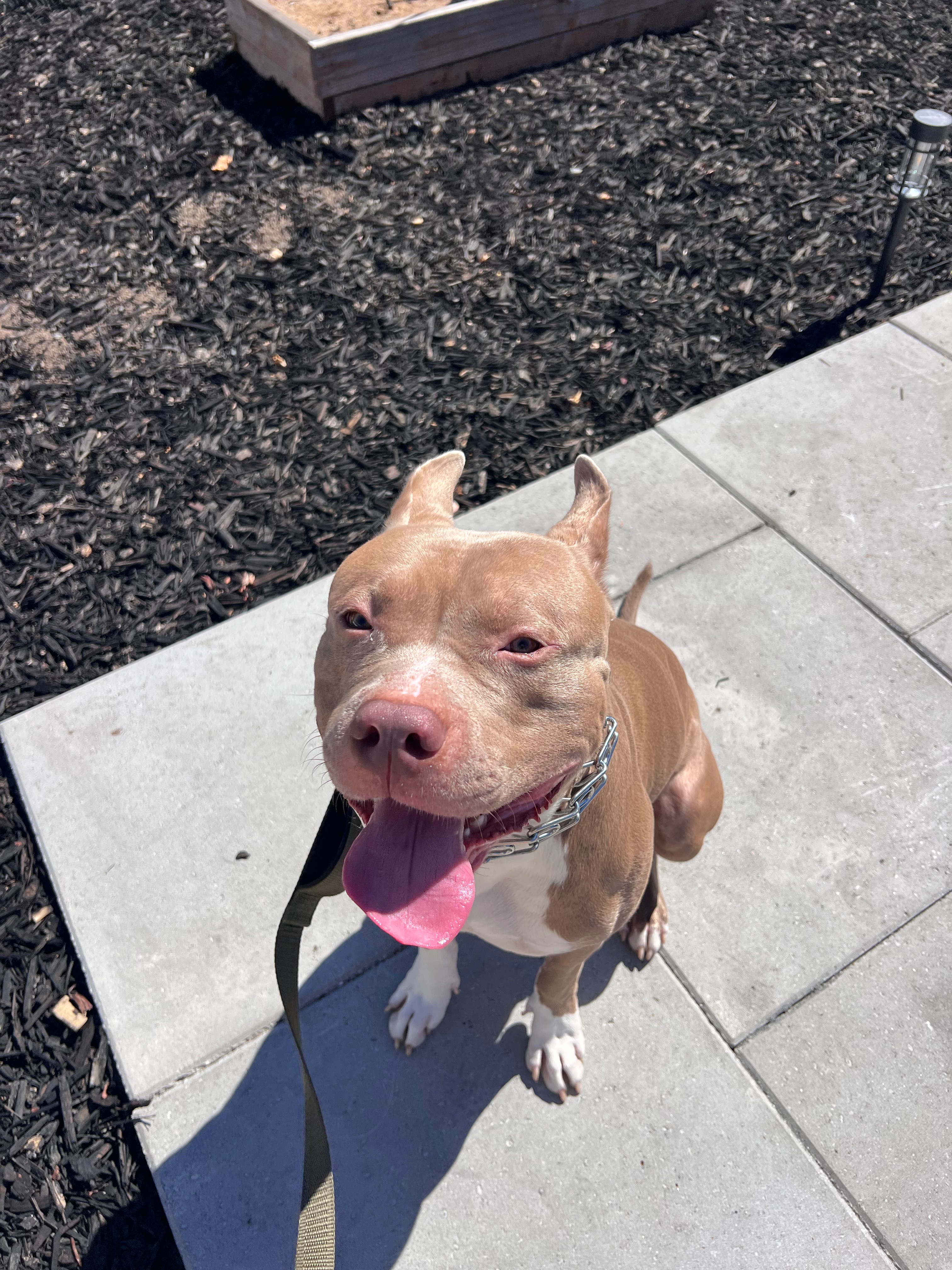 Donate to Save Groot's Life campaign photo, 4 of 7