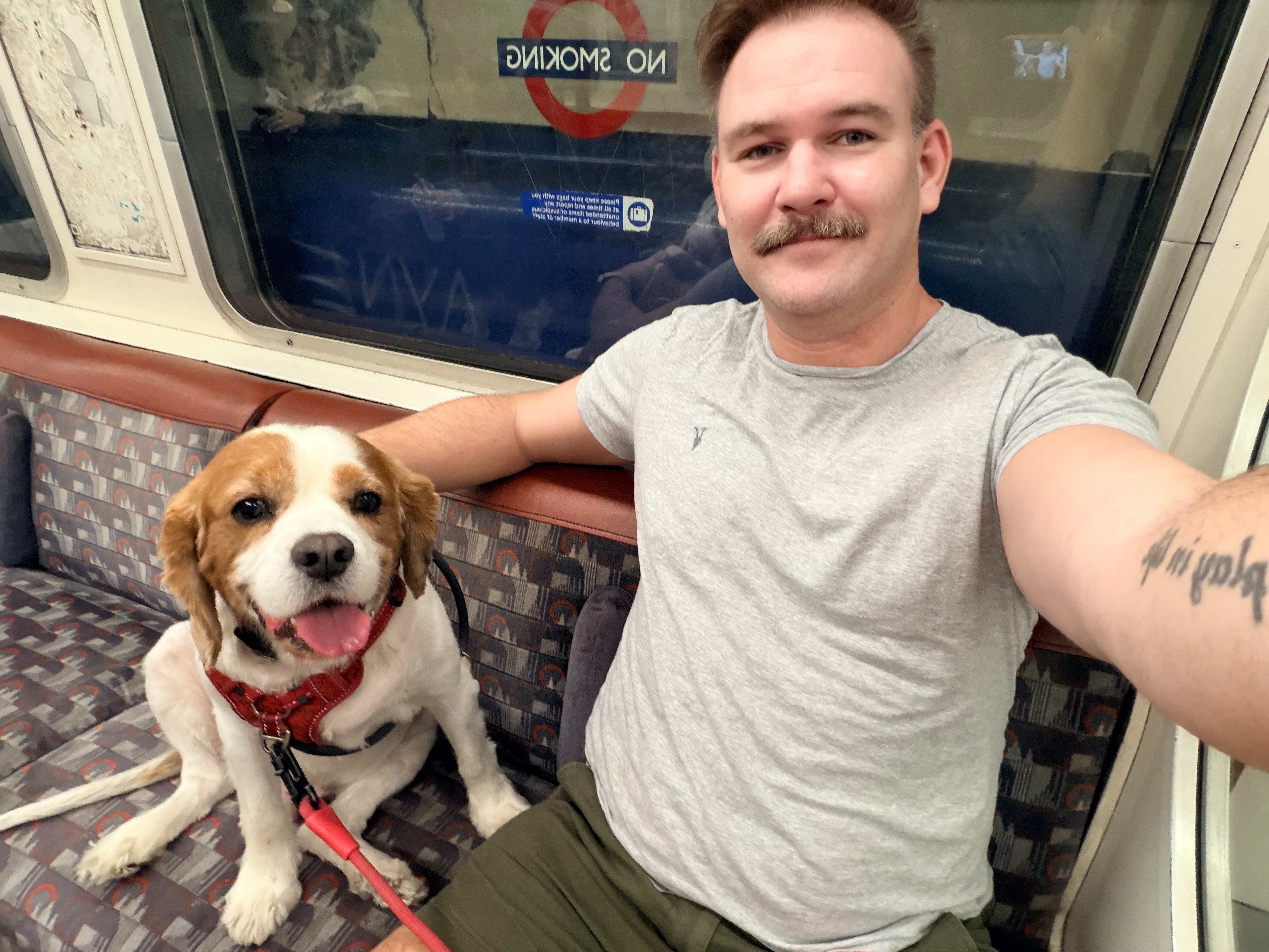 Keep the roof over my head for me and Kevin (my dog) campaign photo, 2 of 6