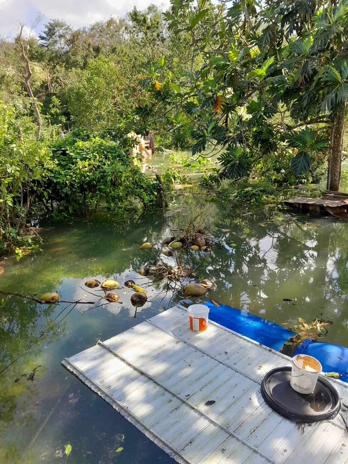 User-uploaded image 1