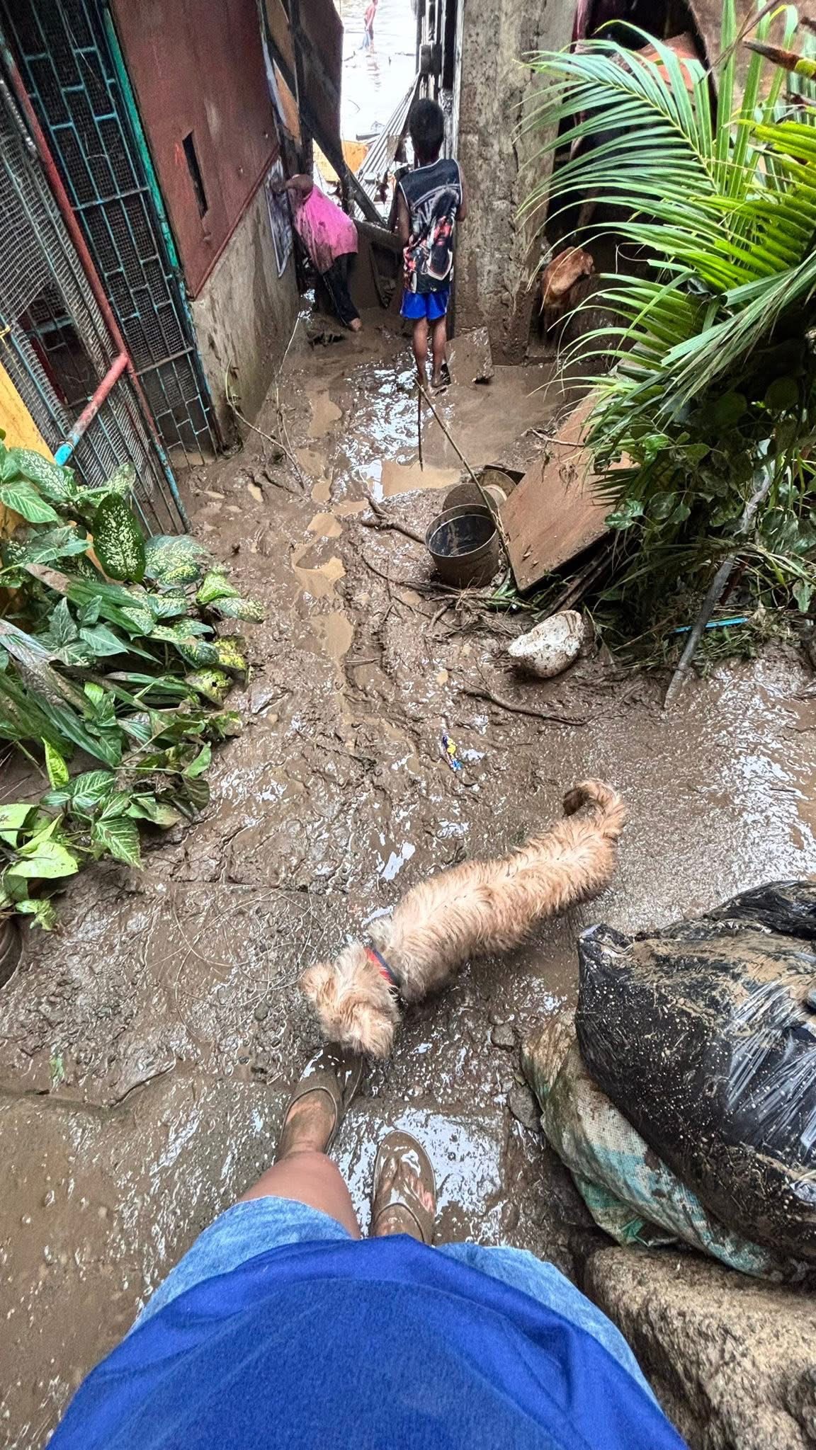 Emergency Relief for families affected by Typhoon Tino campaign photo, 4 of 7