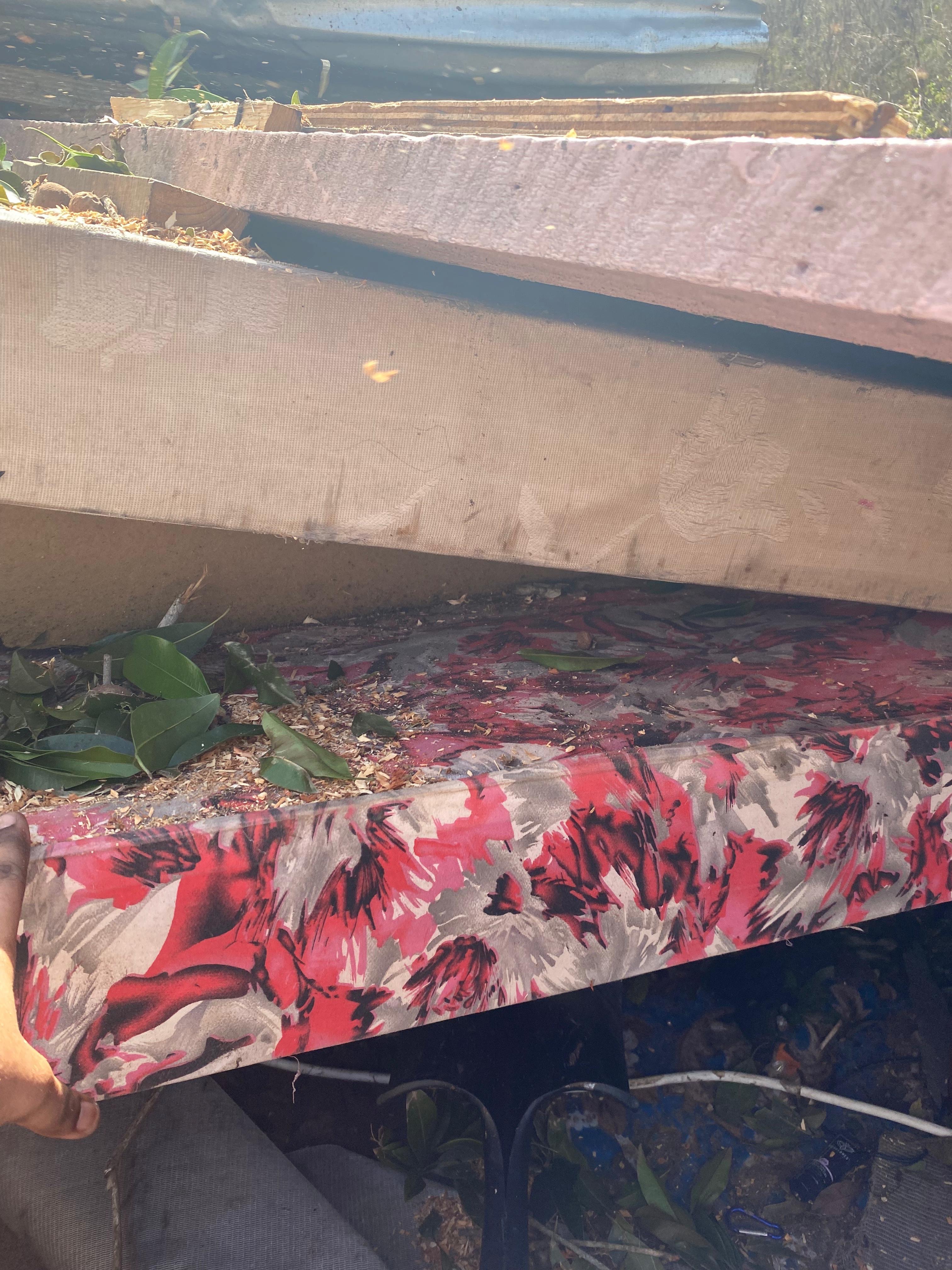 Help Families in Jamaica Rebuild After Hurricane campaign photo, 2 of 8