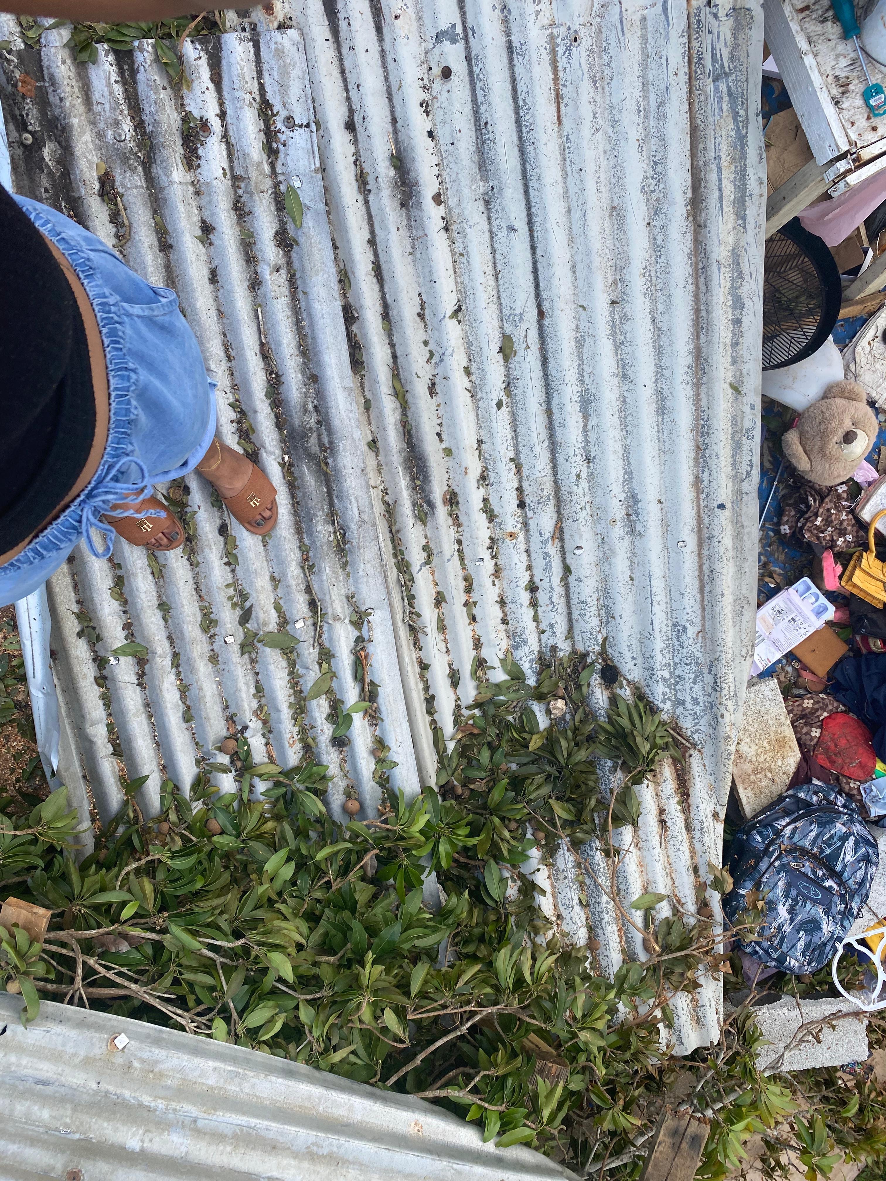 Help Families in Jamaica Rebuild After Hurricane campaign photo, 6 of 8