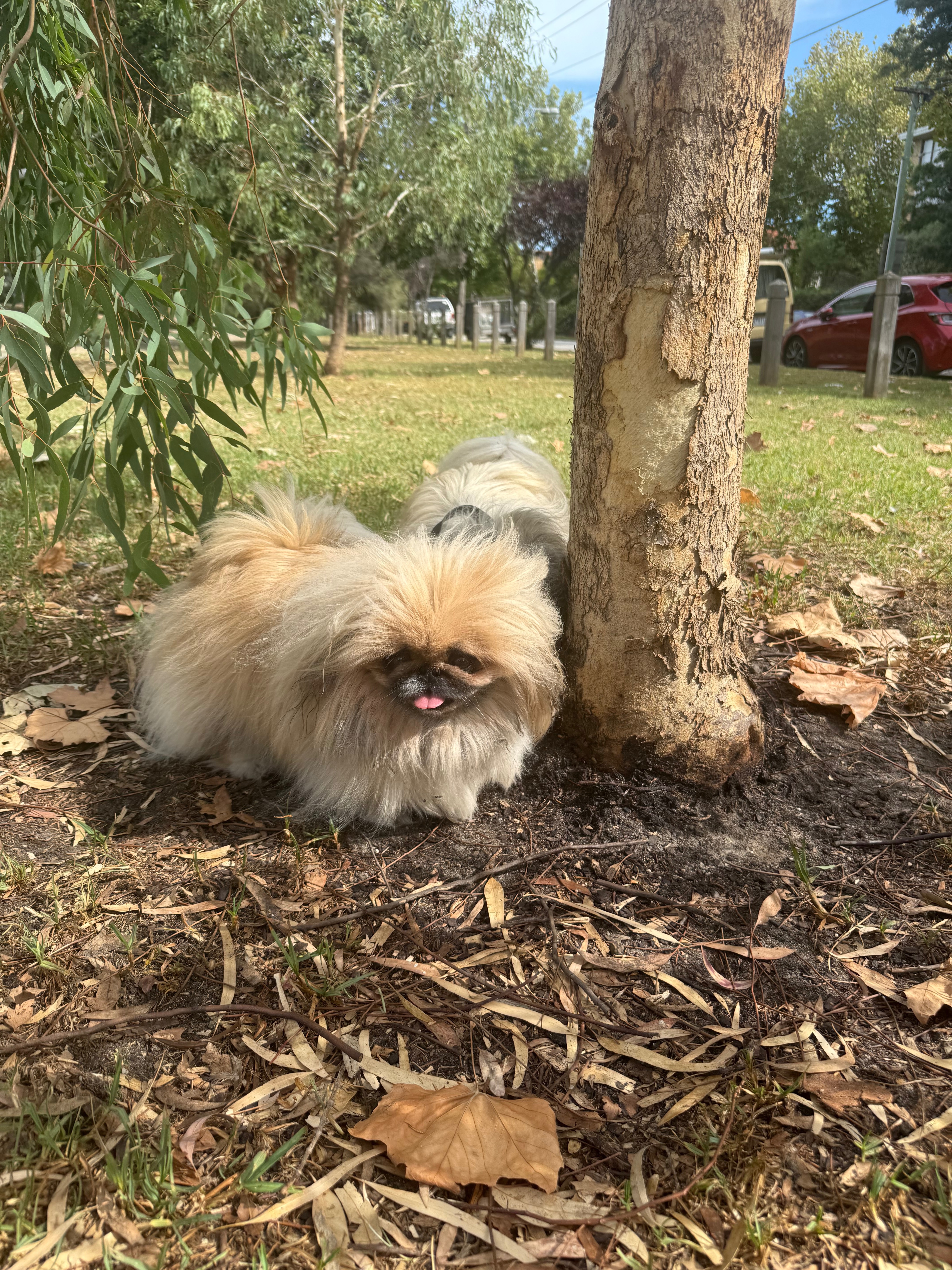 Save my baby - Mikas journey her fight for life campaign photo, 6 of 8