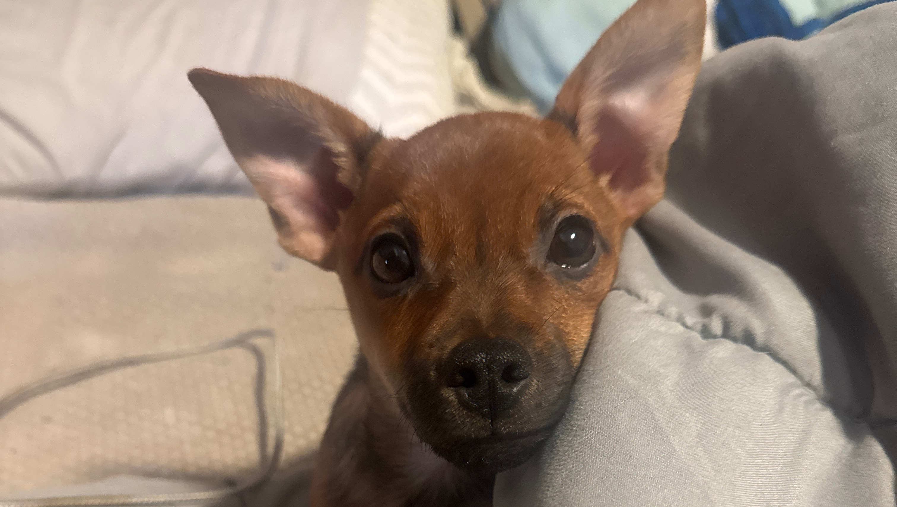 Help Hailee Get the Care She Needs photo