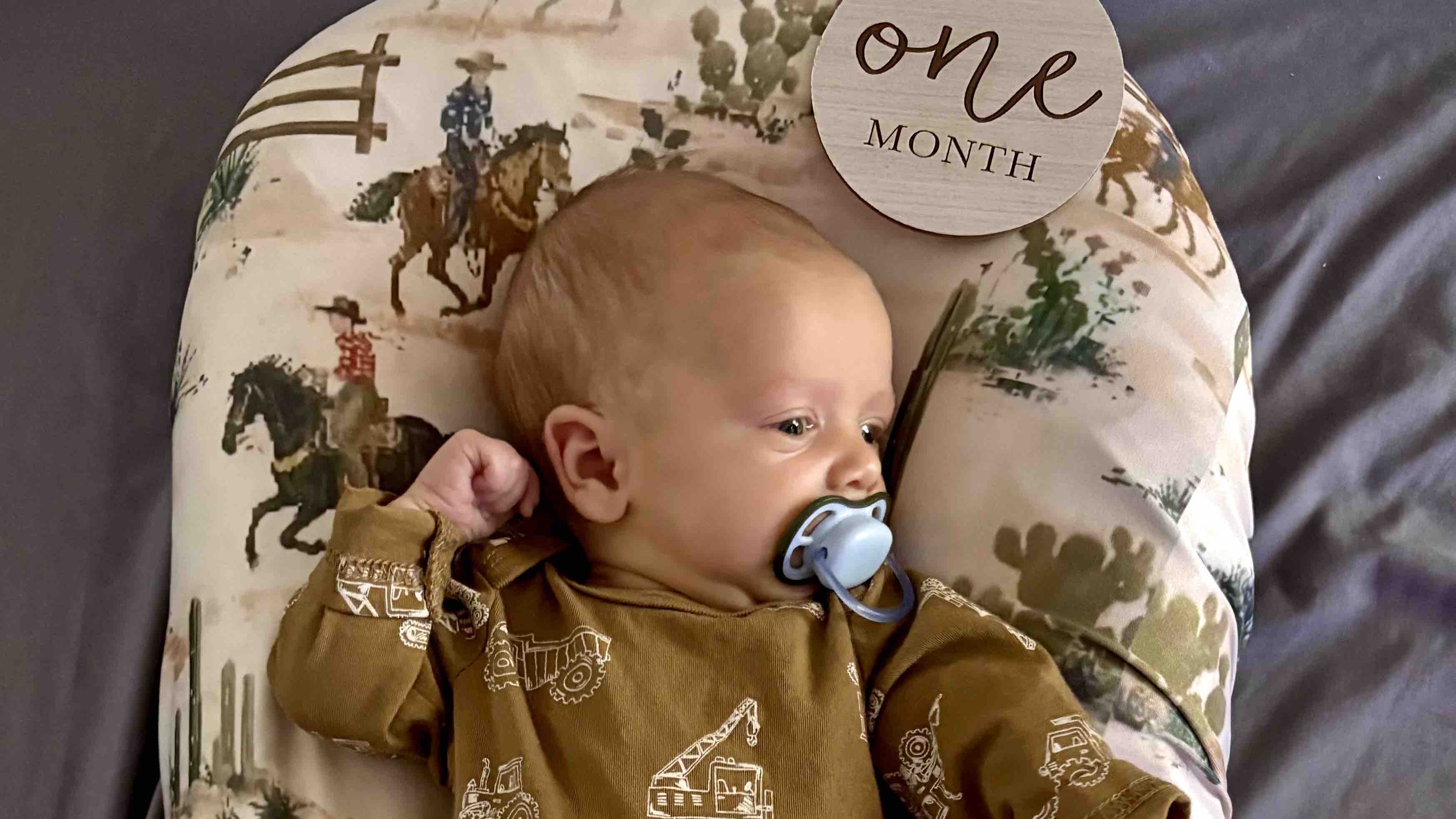 Fundraiser by Elizabeth Labreche : Collecte de fonds pour notre petit Cody  d'amour, image size:3493x1966