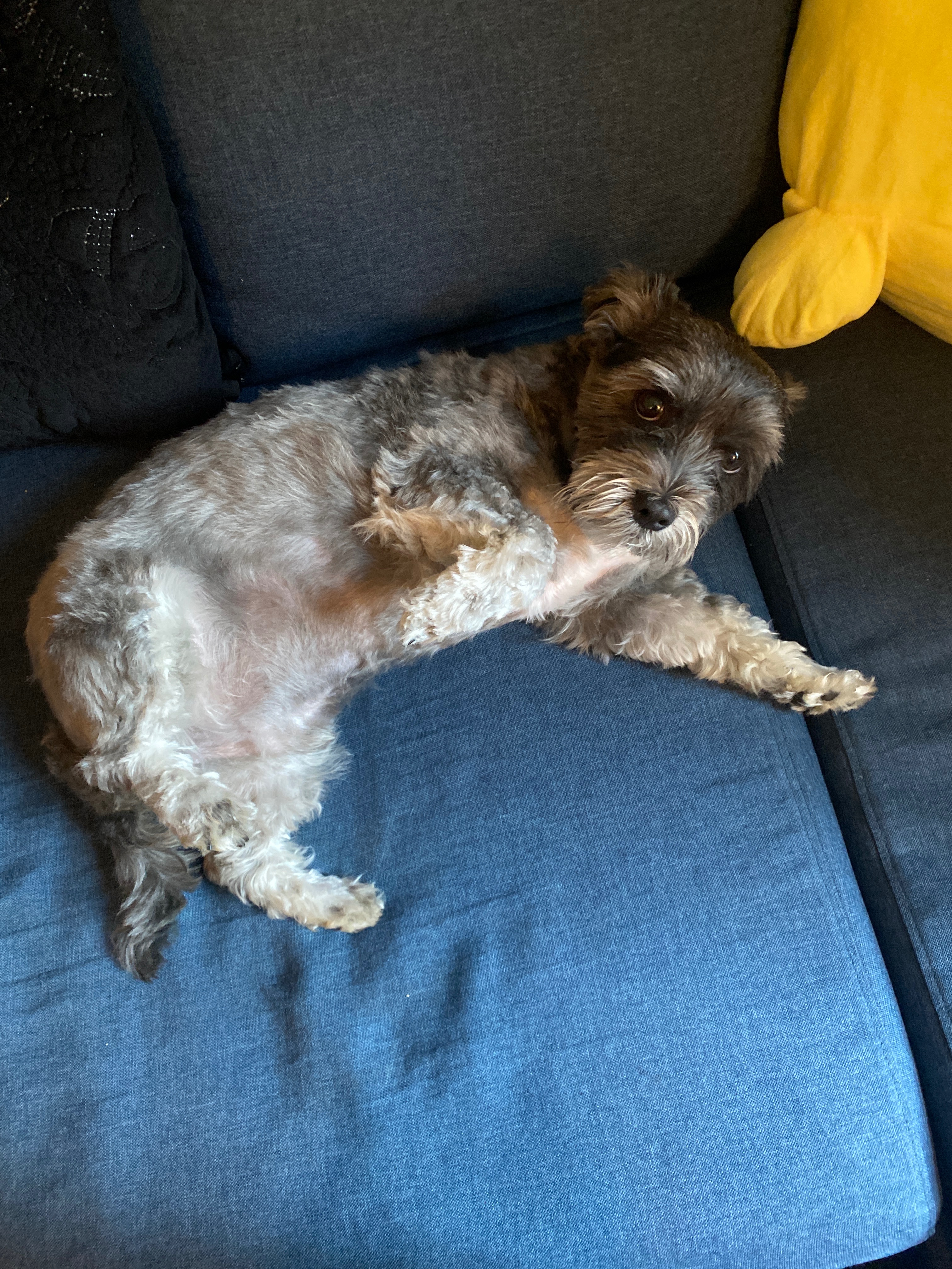 Help Boswell Recover from Severe Spine Injury campaign photo, 5 of 8
