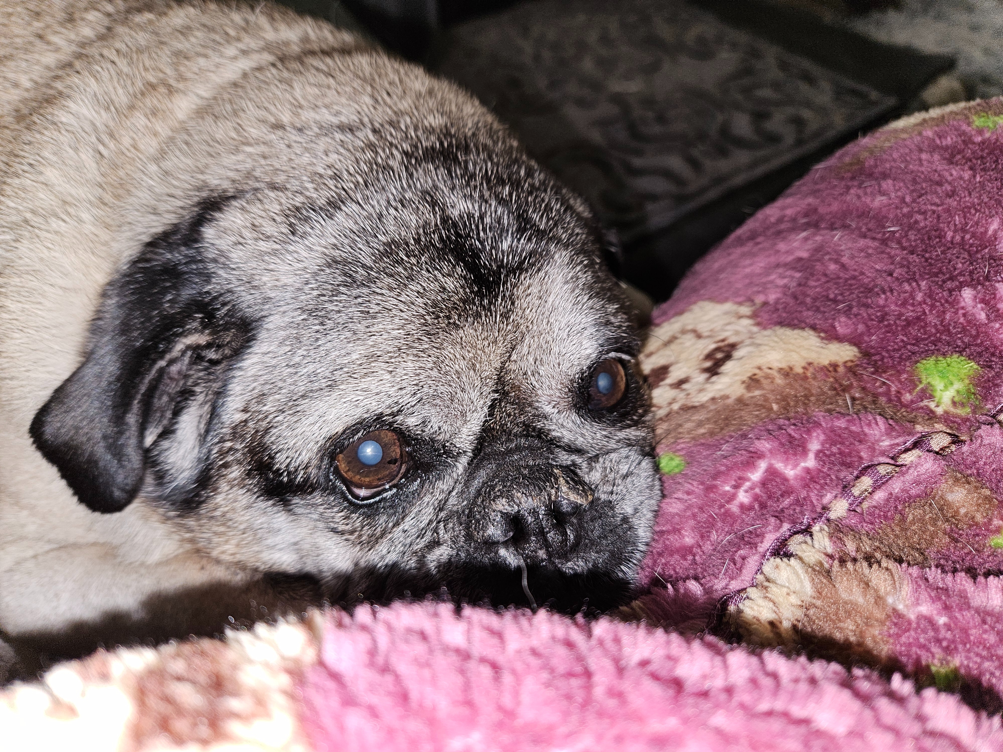 Help Sandy Overcome Financial Strain During Chemo campaign photo, 2 of 5