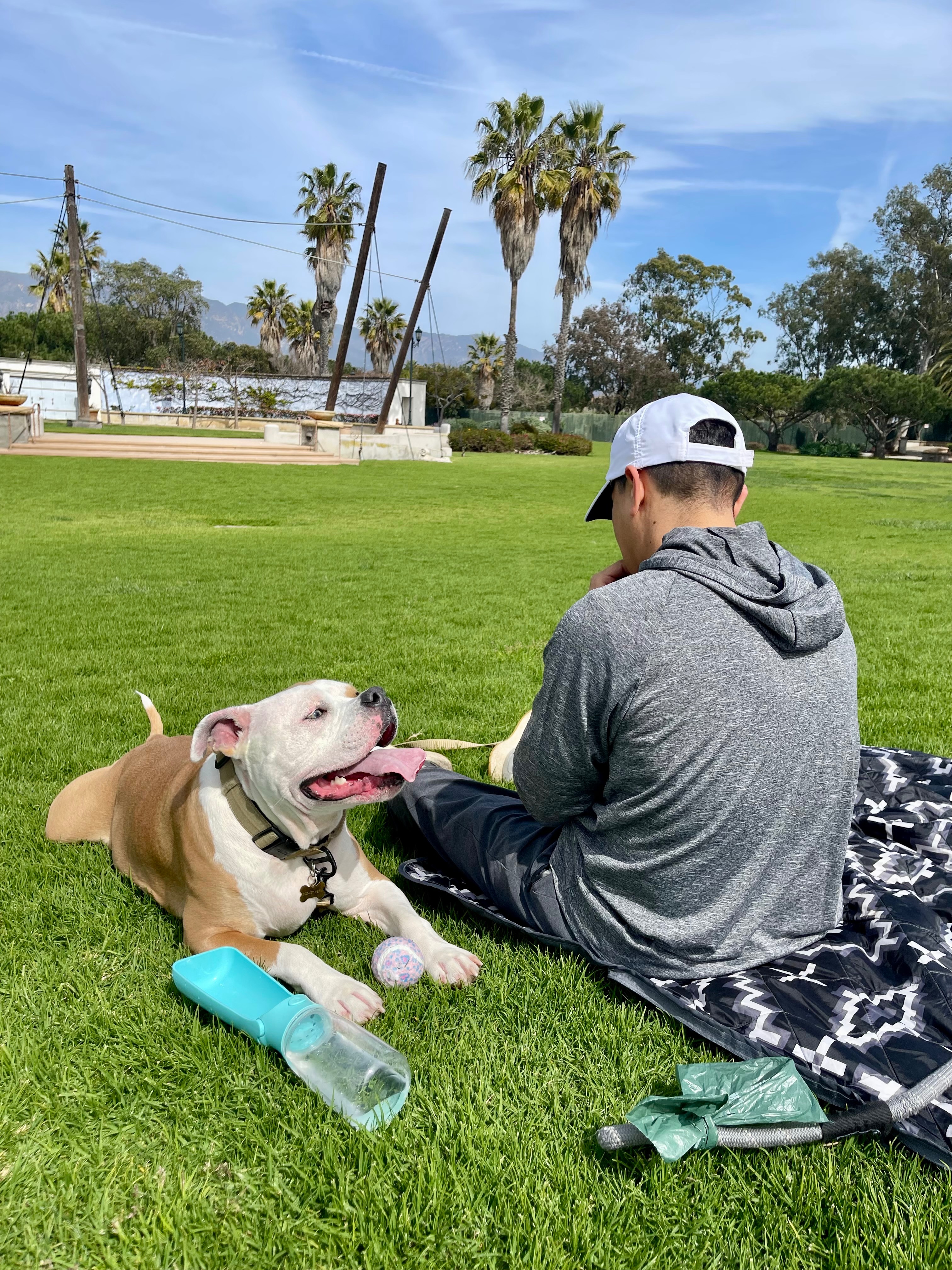 Help Kai Get Back On His Paws campaign photo, 7 of 8