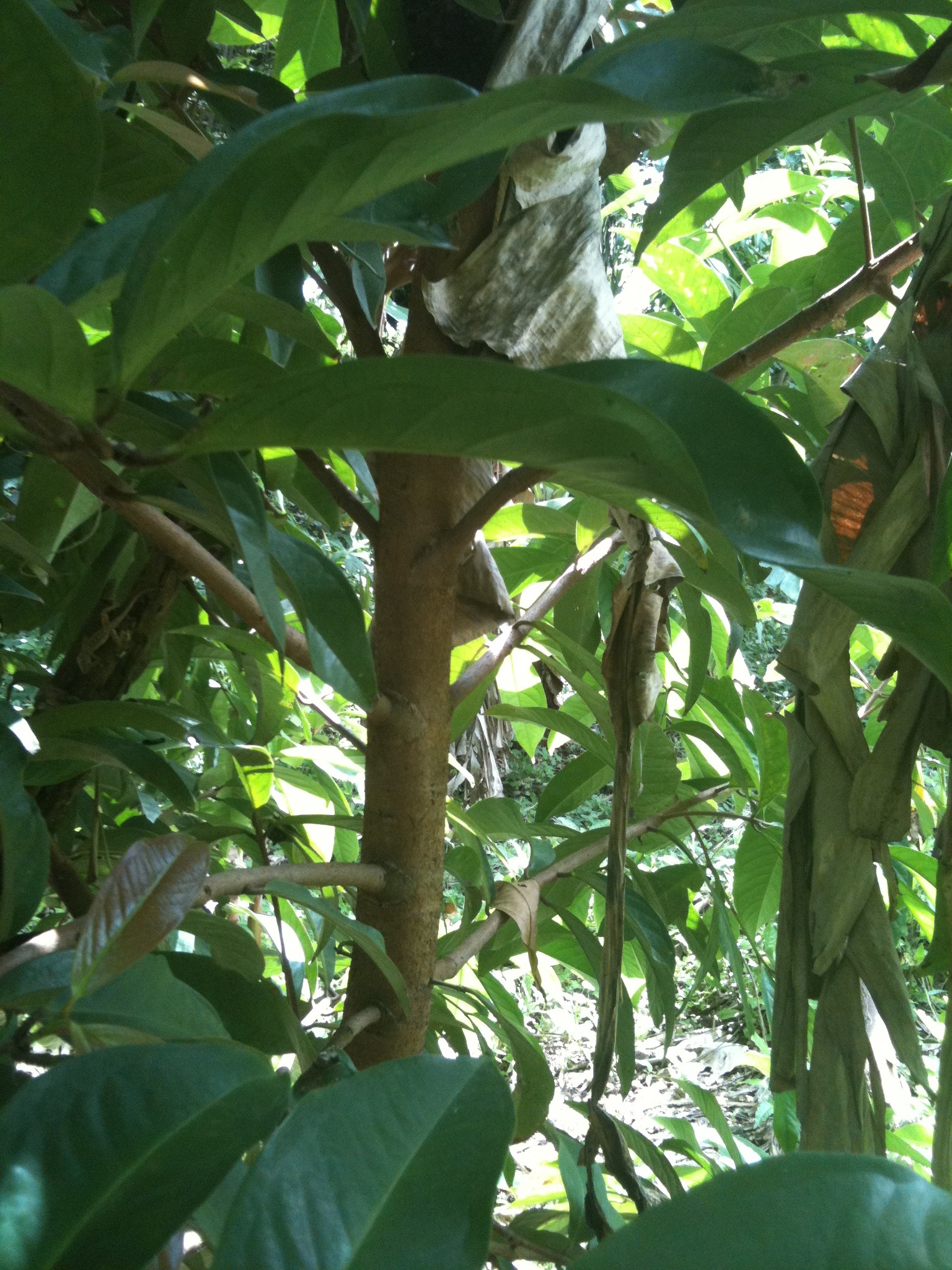 Help Restore Livelihoods After Hurricane Melissa campaign photo, 5 of 8