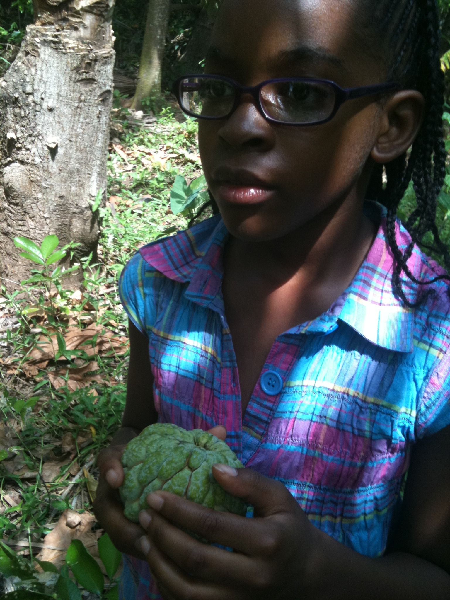 Help Restore Livelihoods After Hurricane Melissa campaign photo, 6 of 8