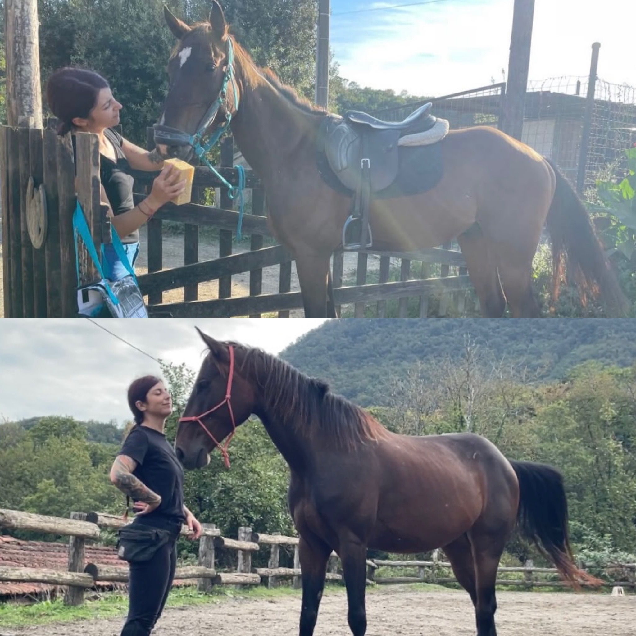 Aiutami a riportare a casa Bresy, il mio cavallino campaign photo, 6 of 7