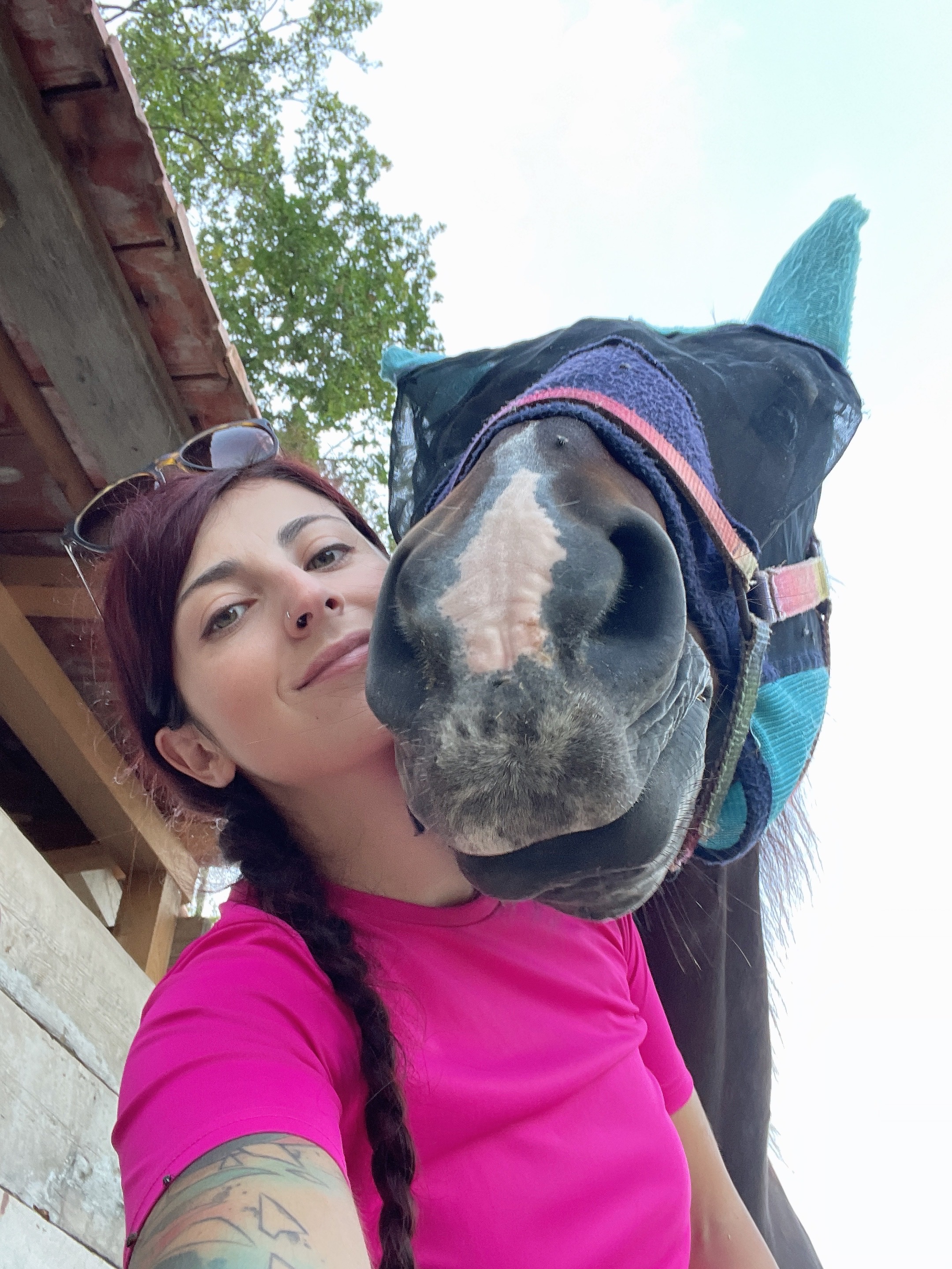 Aiutami a riportare a casa Bresy, il mio cavallino campaign photo, 2 of 7