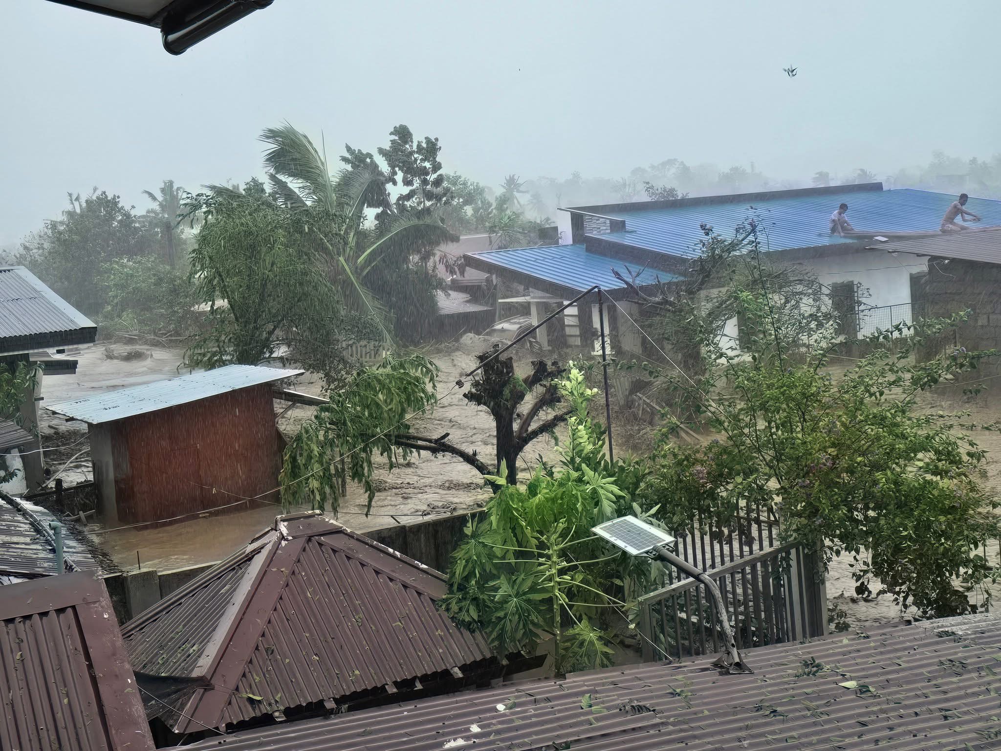 Support Families Affected by Typhoon Tino campaign photo, 2 of 6
