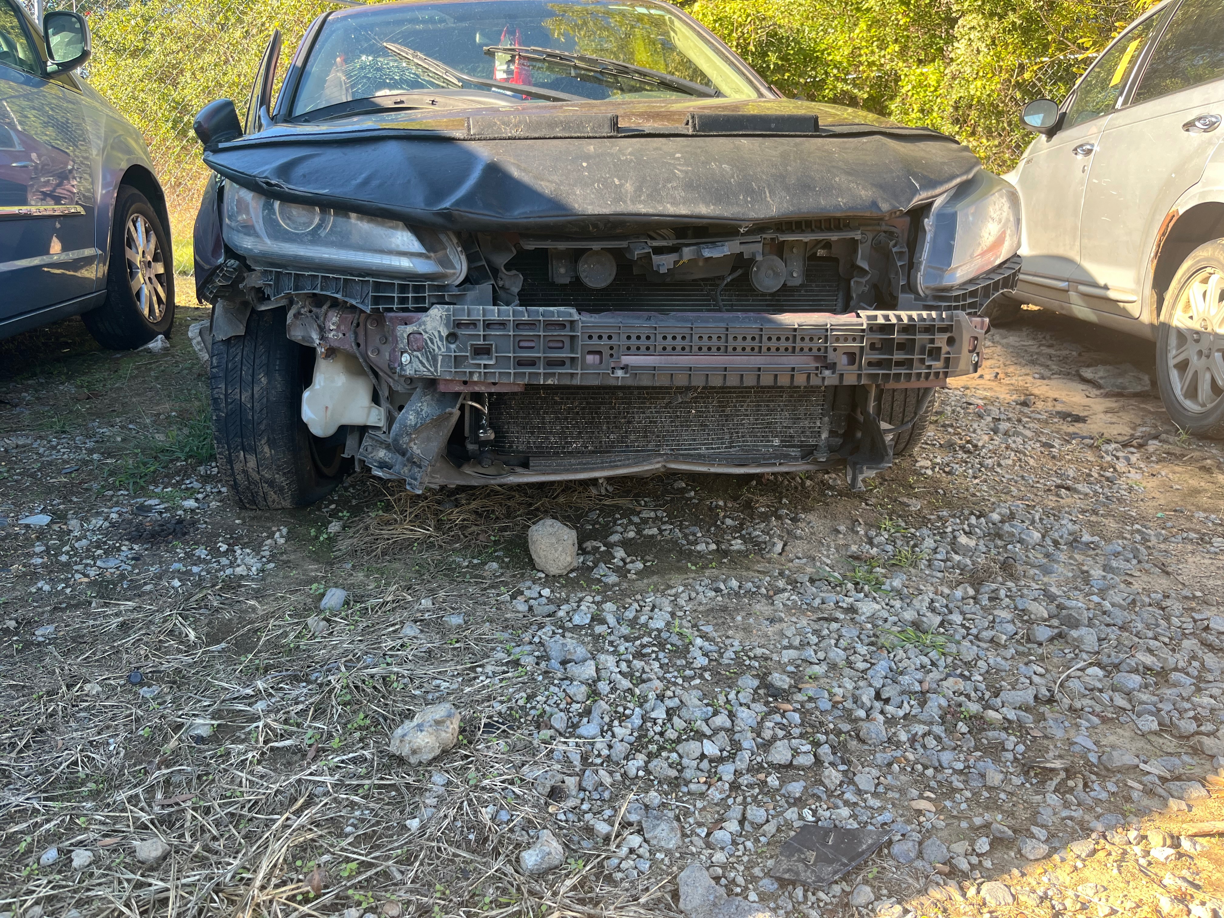 Help Harley and Fiancé Rebuild After Tragic Downfall. campaign photo, 4 of 5