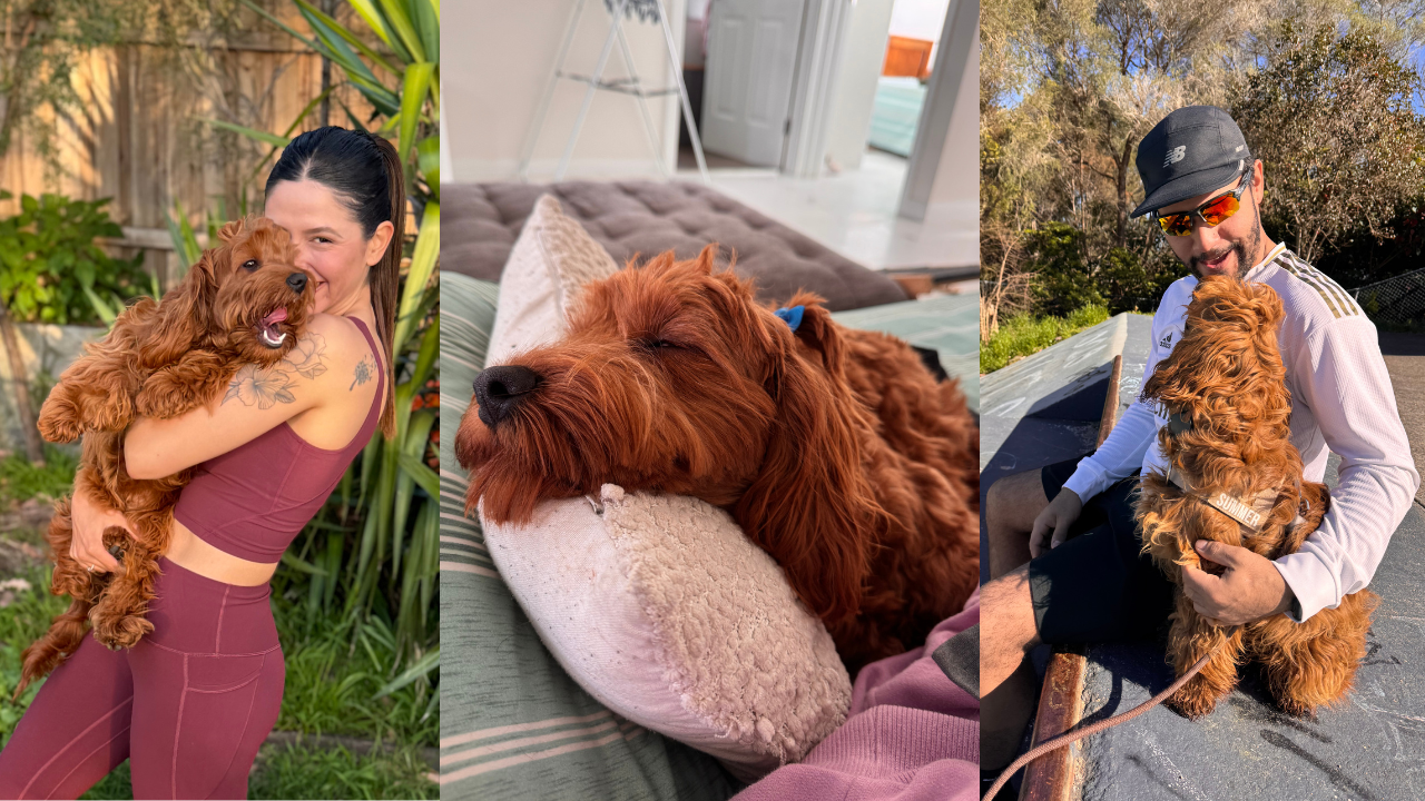 Help Summer Walk Pain-Free: Hip Dysplasia Surgery Fund campaign photo, 4 of 6