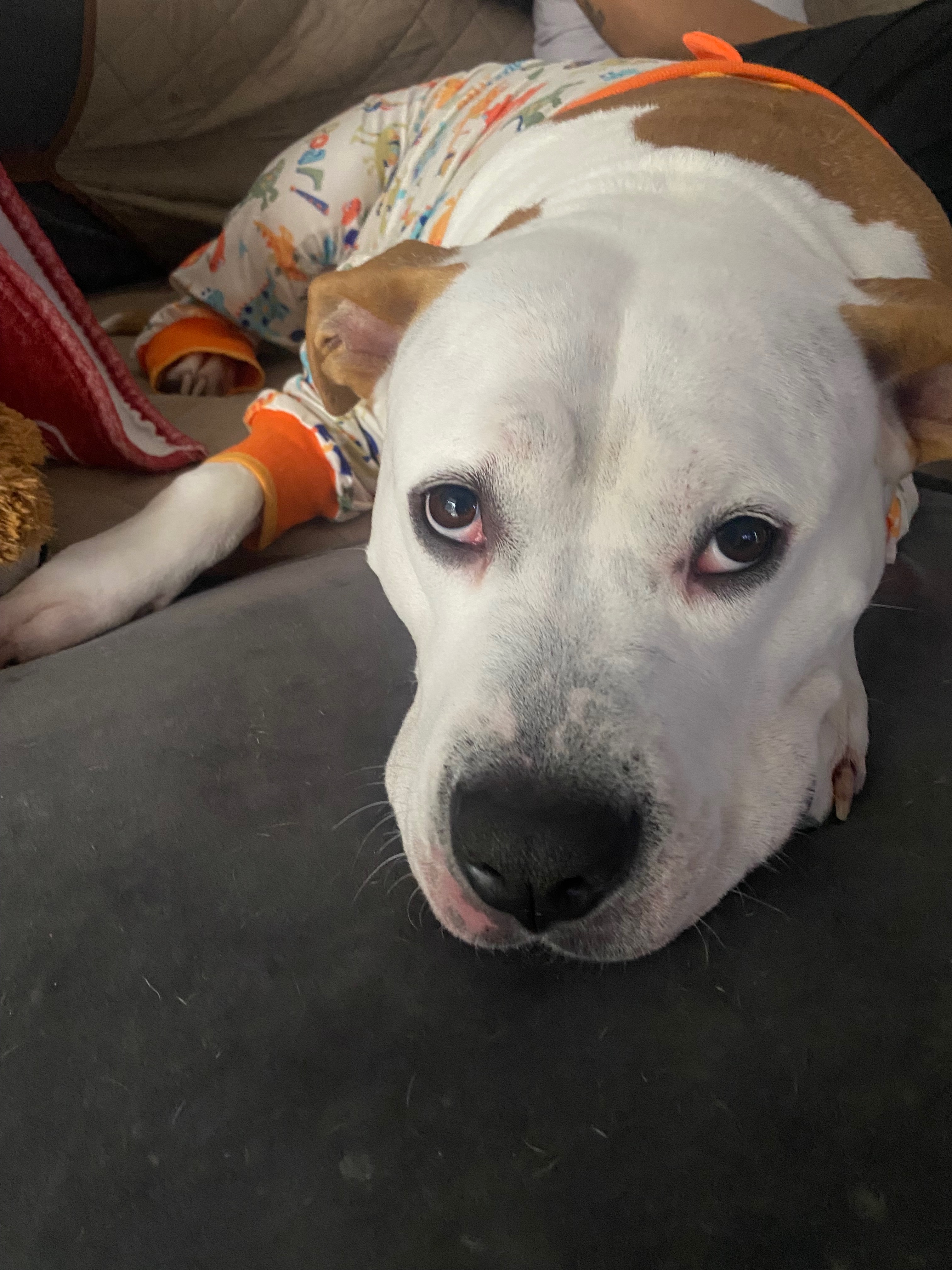 Save Athena: Urgent Cancer Treatment Fund campaign photo, 2 of 5