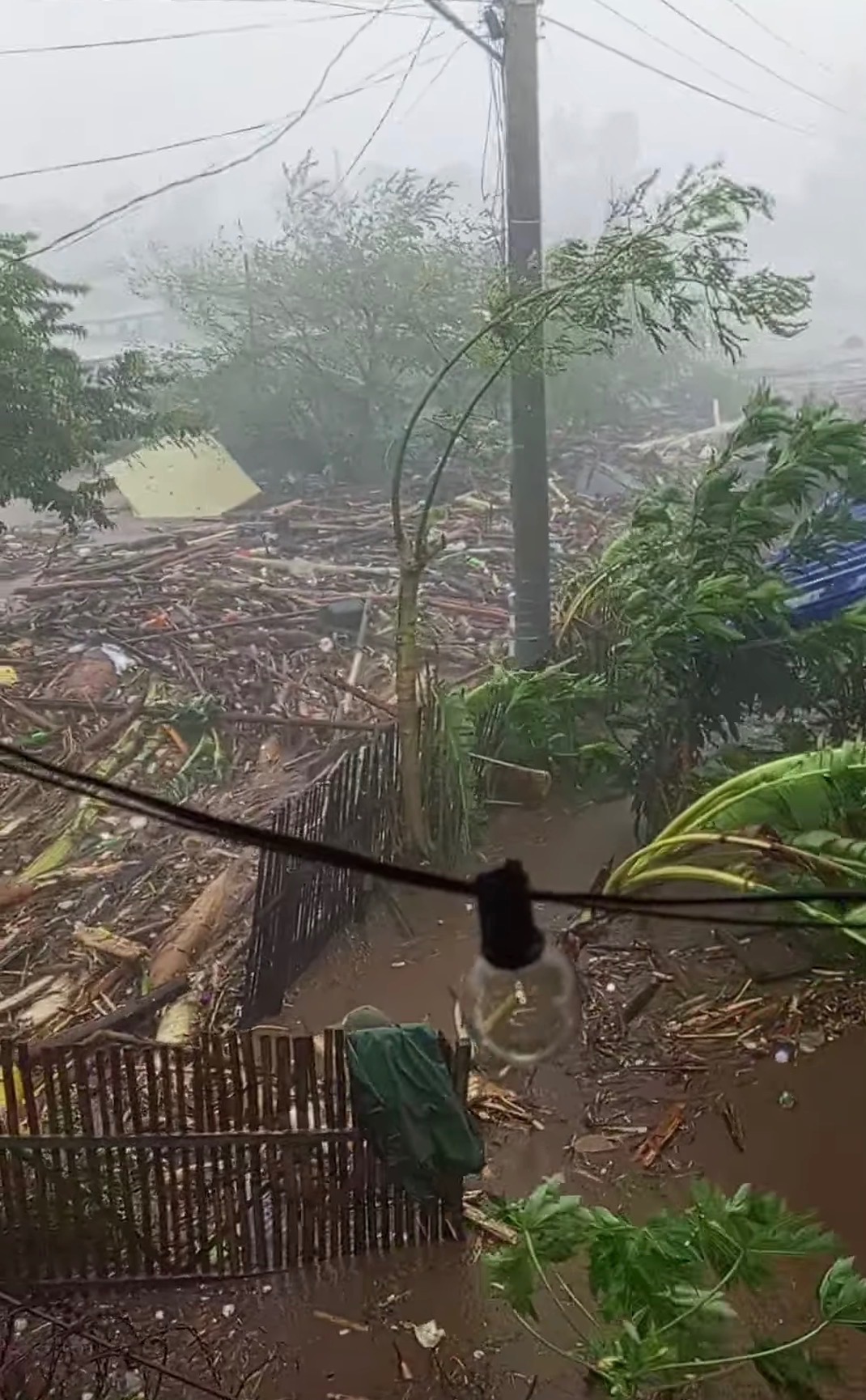 Support Visayas Families Devastated by Typhoon campaign photo, 2 of 7