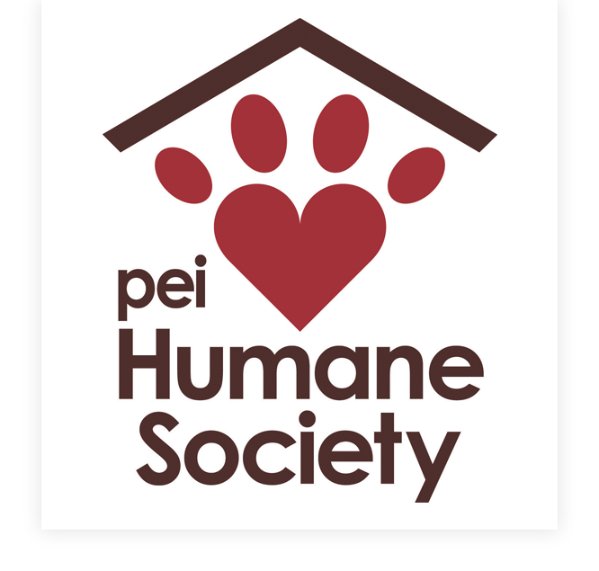 Raising money for the Humane Society campaign photo, 2 of 4