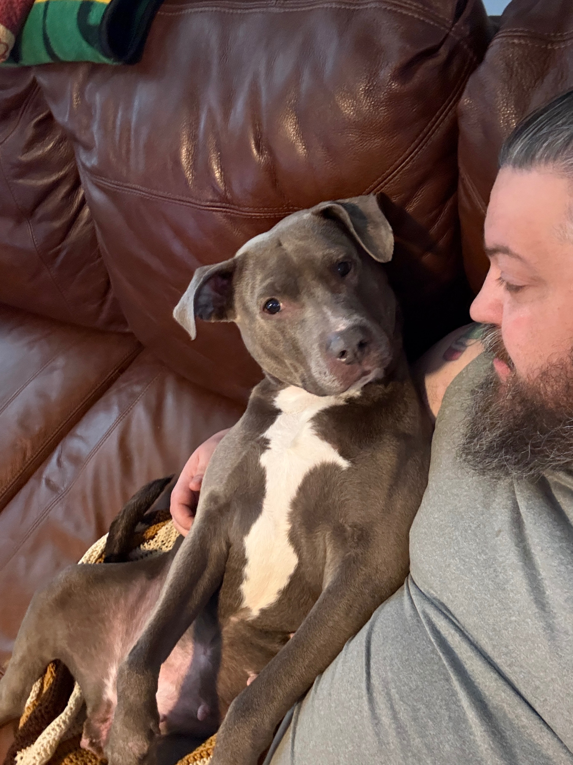 Help Harley Get Emergency Surgery campaign photo, 2 of 8