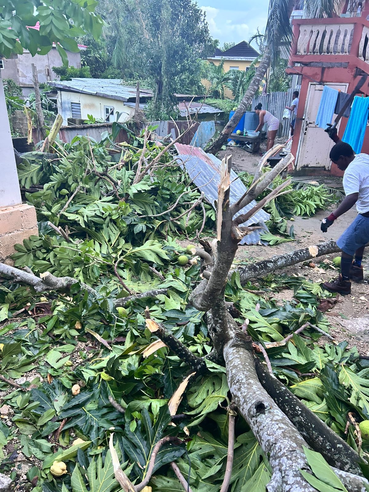Rebuild Jamaica: Aid Toussaint's Family campaign photo, 4 of 6