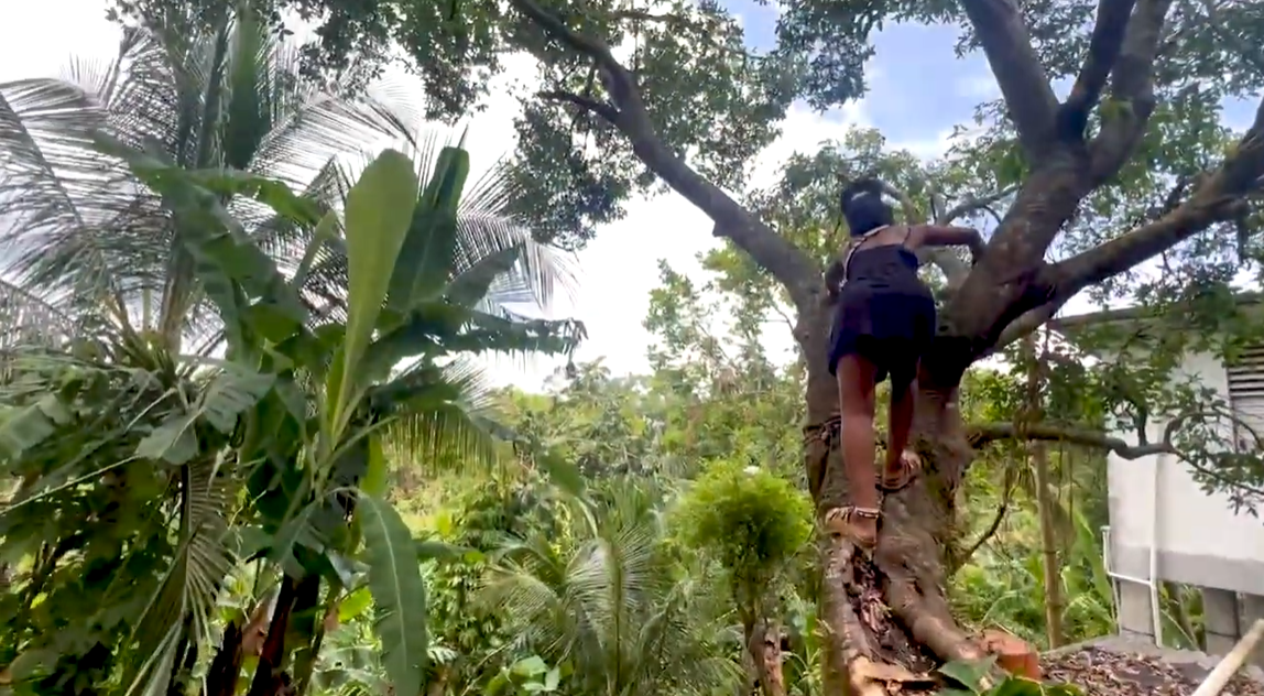 Support Aly's Family in Jamaica After Hurricane campaign photo, 6 of 7