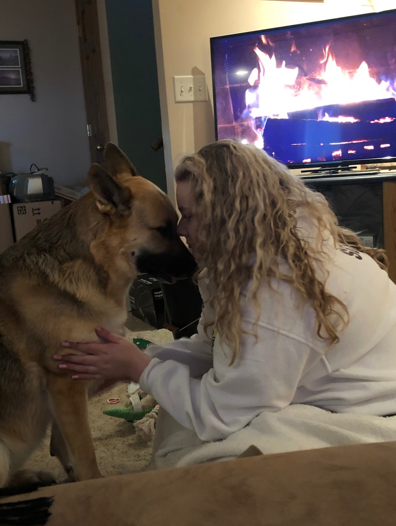 Help Luna Walk Again- MRI Fundraiser campaign photo, 2 of 5