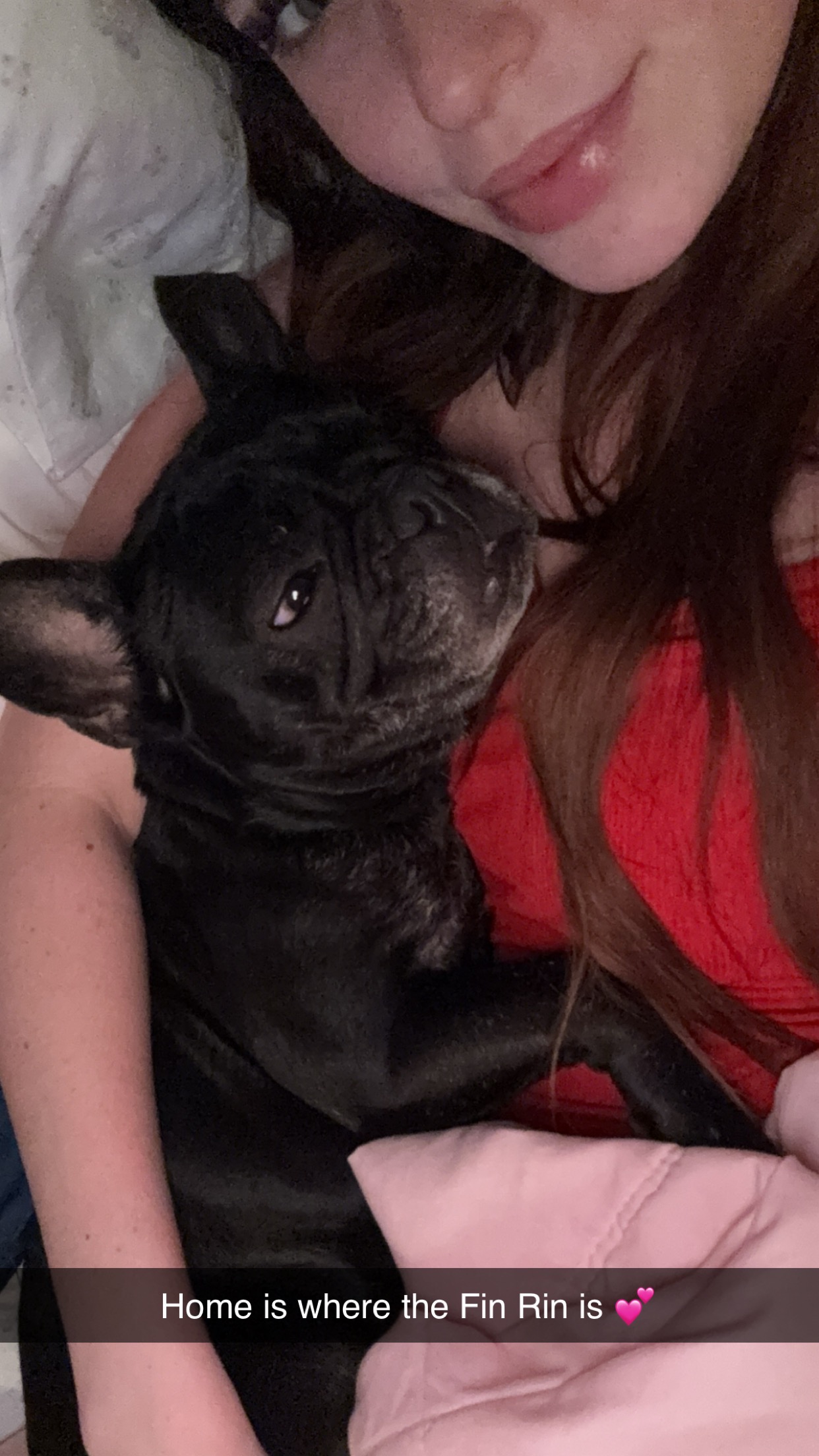 Support Finley's medical bills campaign photo, 4 of 5