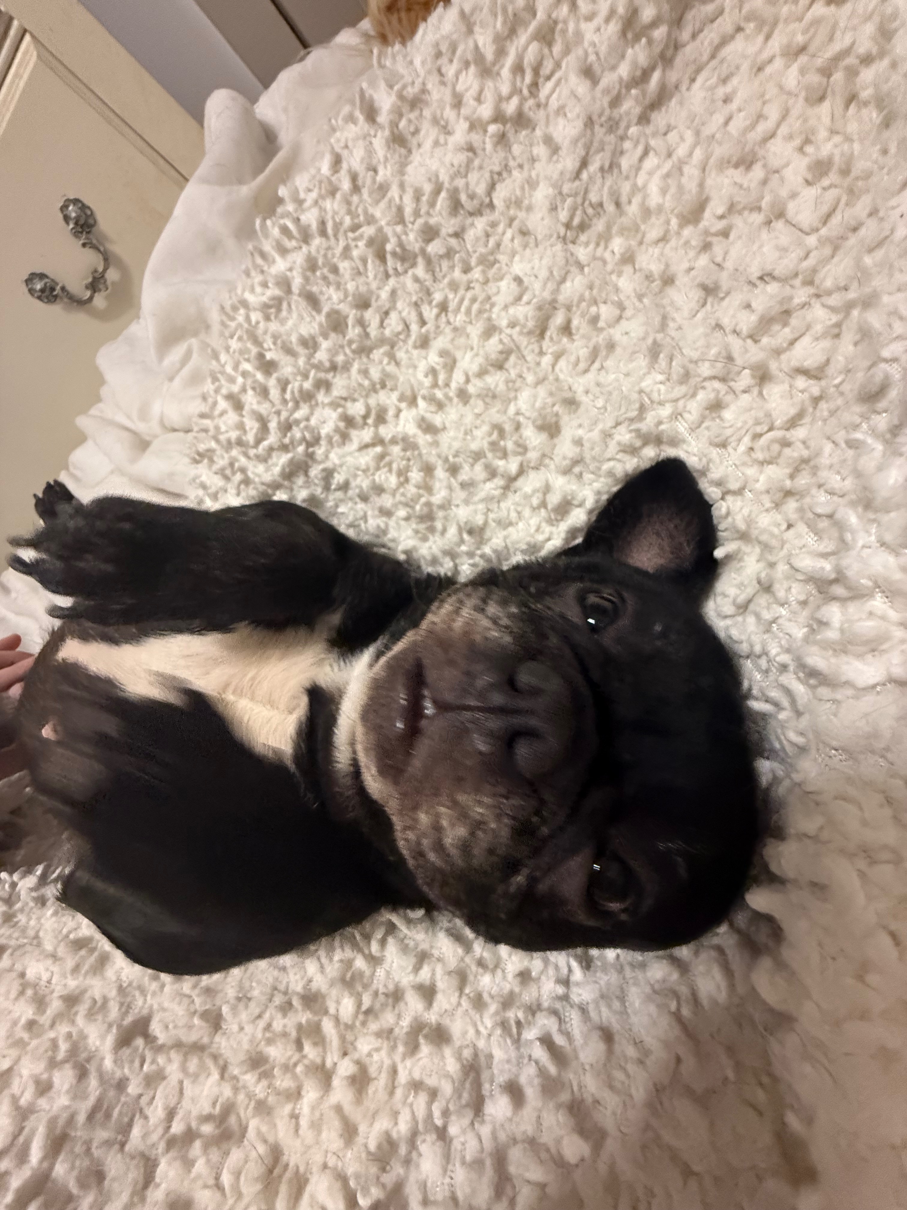 Support Finley's medical bills campaign photo, 2 of 5