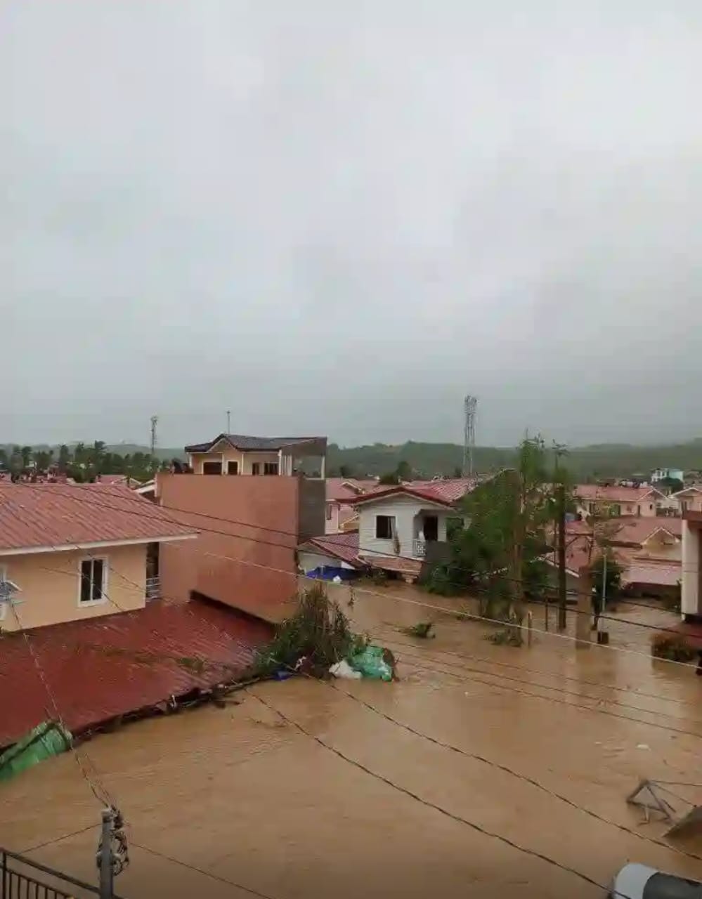 Help Cristy Rebuild After Devastating Disasters campaign photo, 7 of 8