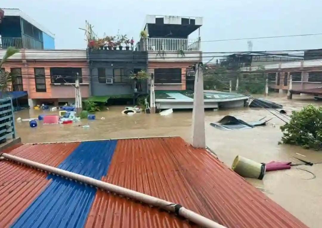 Help Cristy Rebuild After Devastating Disasters campaign photo, 6 of 8