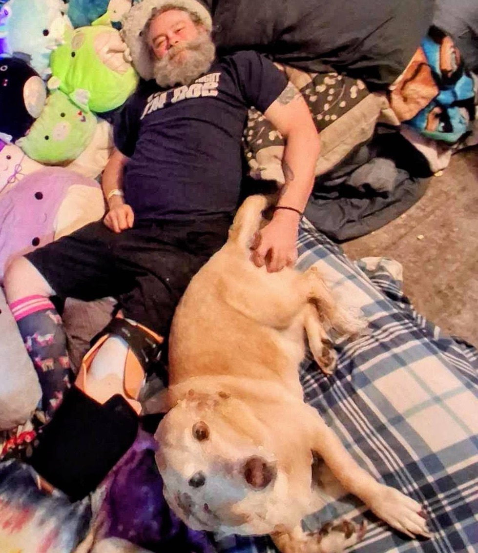 User-uploaded image 1