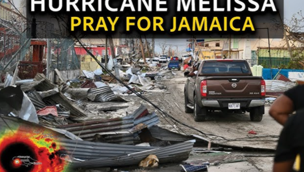 Support Jamaica's Recovery: Food for Montego Bay photo
