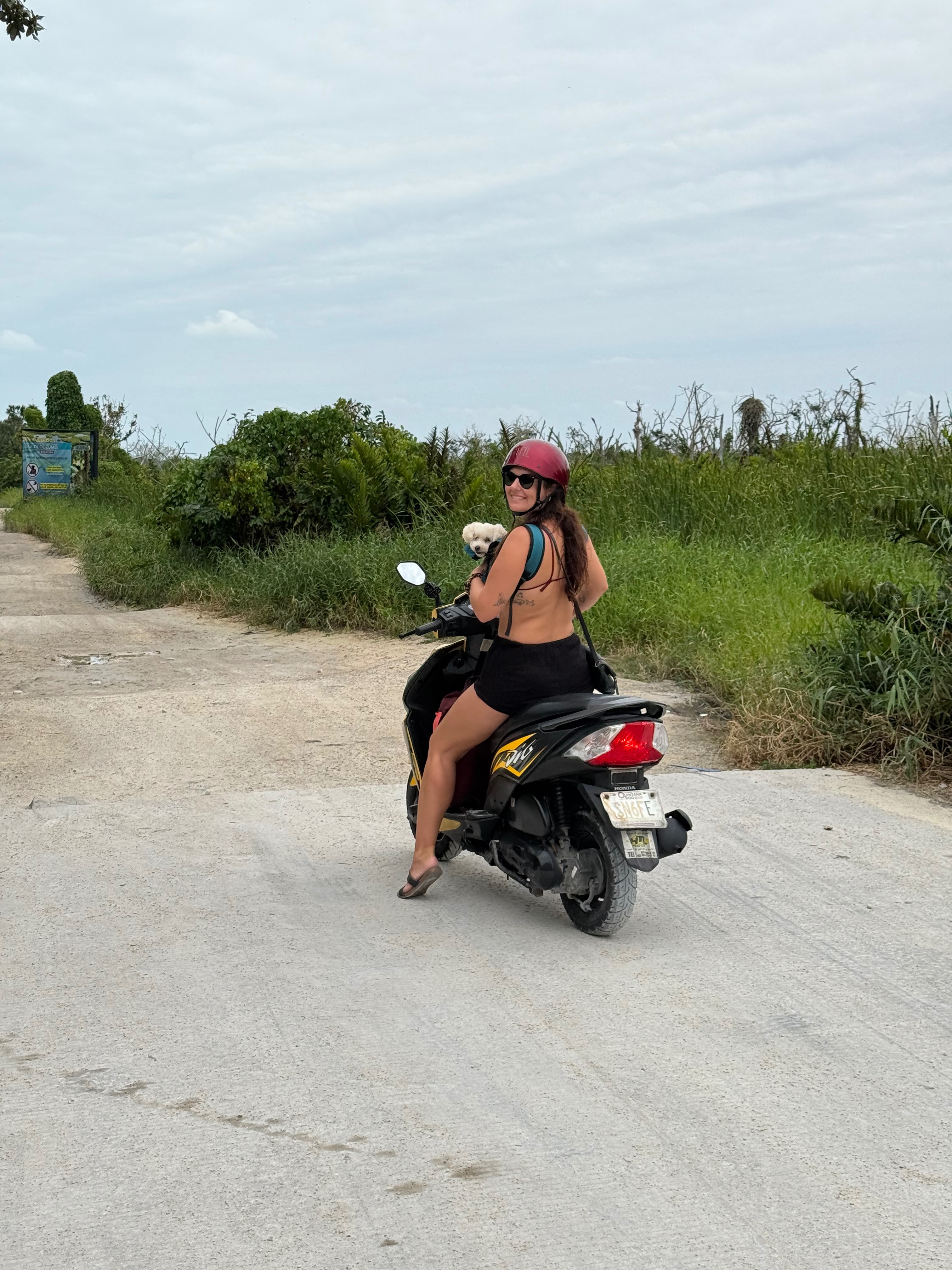 Help Sheldan Heal After Serious Scooter Accident campaign photo, 4 of 6