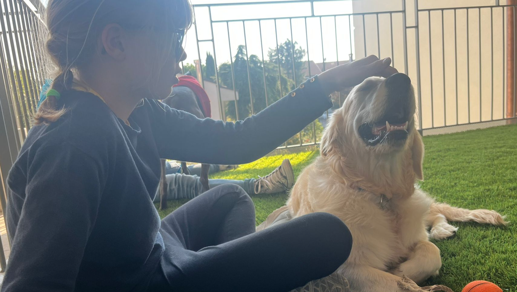 Emma & Milo: storia di un cane da assistenza pinned link photo