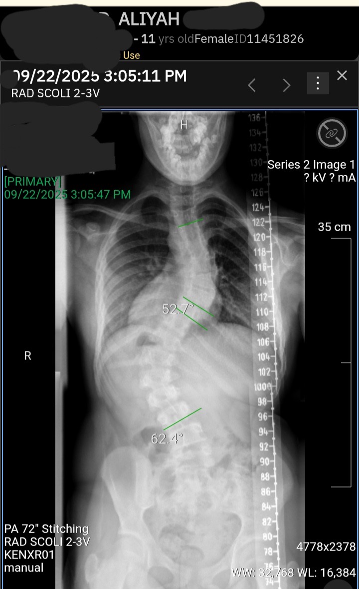 User-uploaded image 1