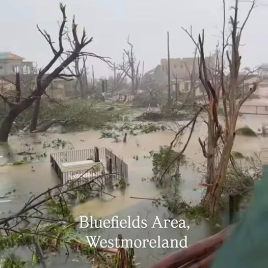Urgent Relief for the Quest Family in Jamaica campaign photo, 5 of 8