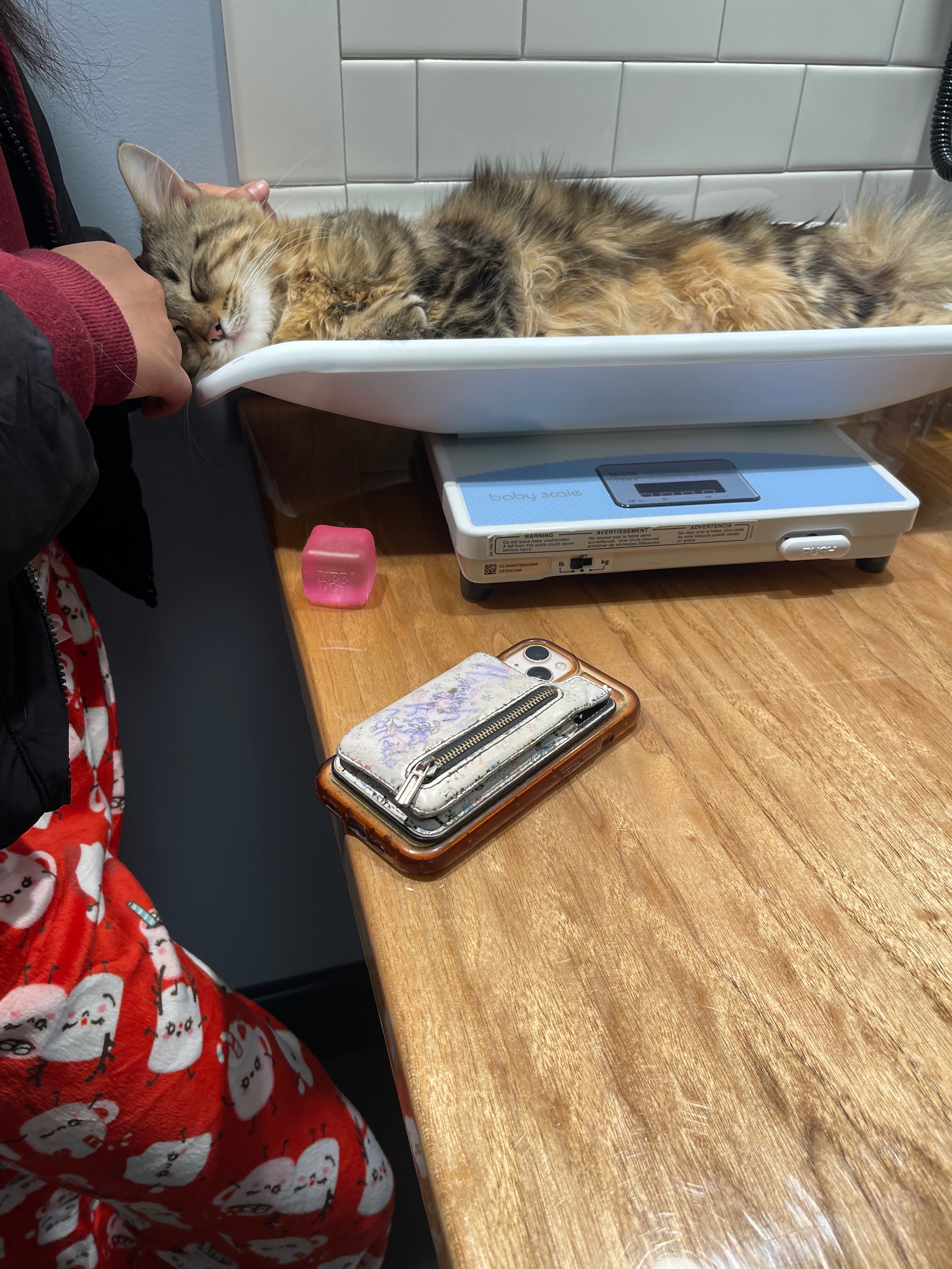 Help Clarivel Save Scar: A Daughter's Hope campaign photo, 2 of 6
