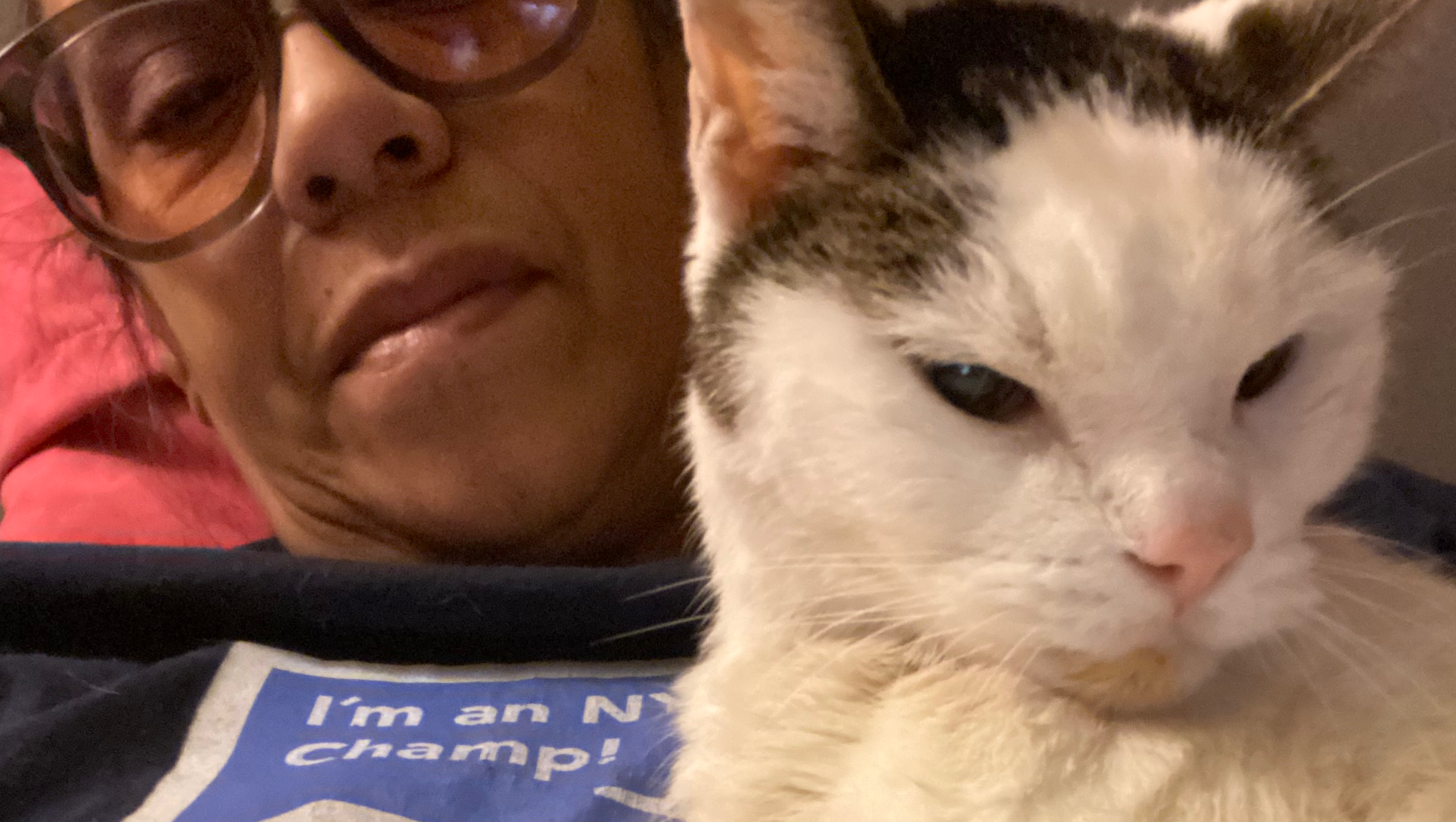 Help Jimmylove Get Urgent Vet Care