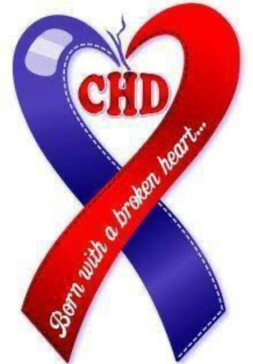 Support Maybree Smith's Heart Surgery Journey campaign photo, 4 of 8