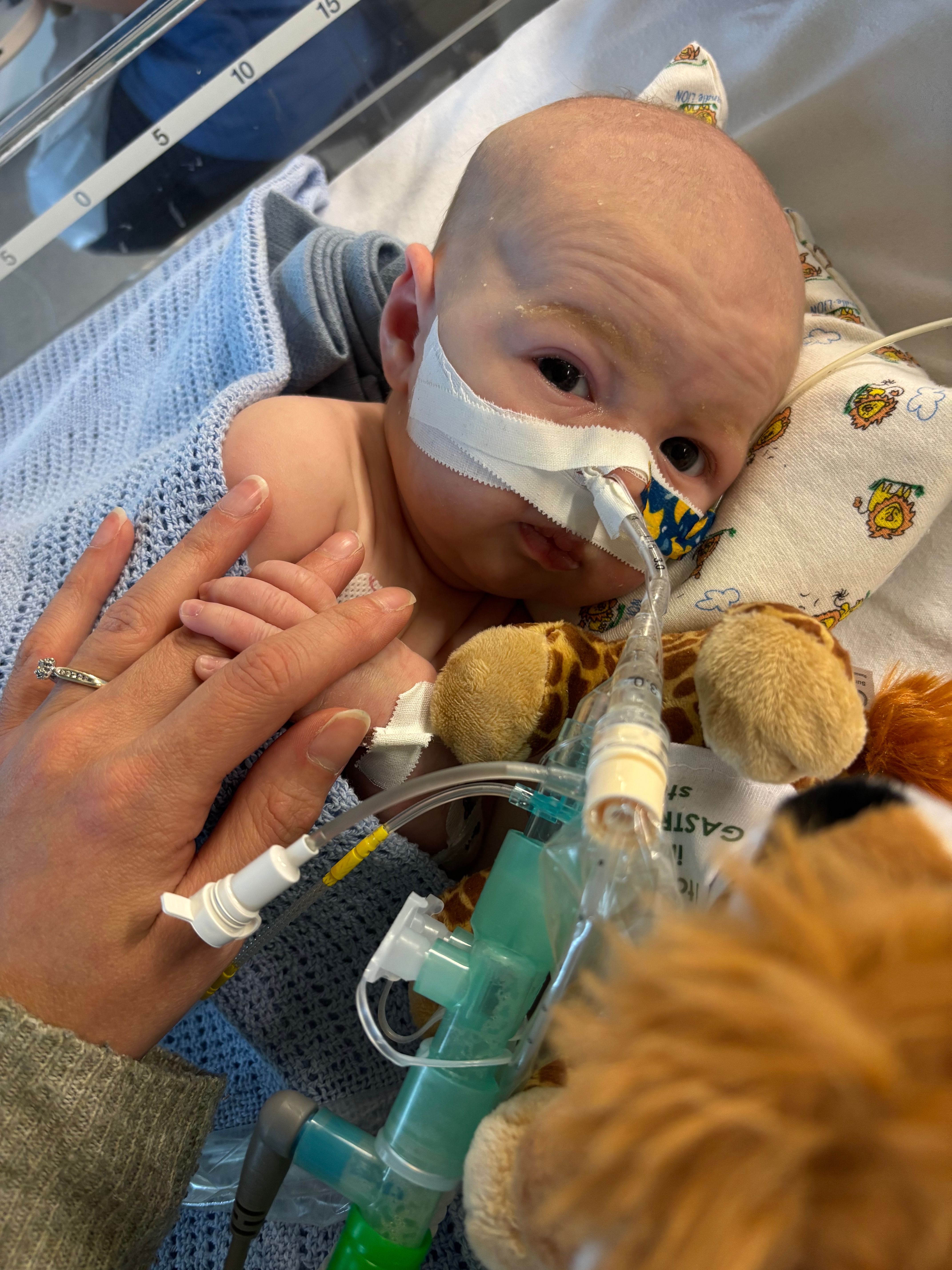 Help Louie fight SMA Type 1 campaign photo, 4 of 8