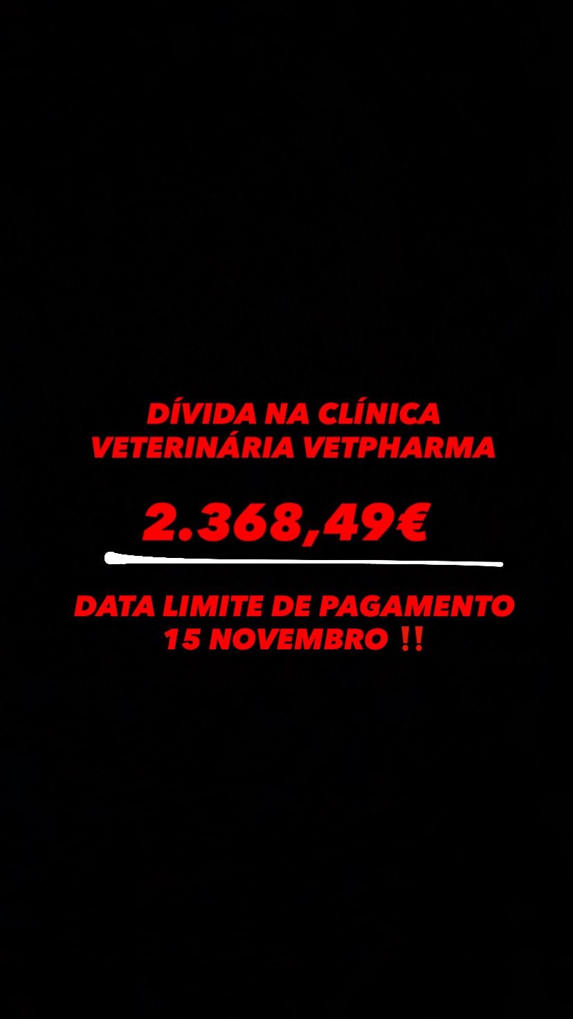 CADA EURO É UMA ESPERANÇA - AJUDEM A SALVAR ESTA MISSÃO! campaign photo, 2 of 8