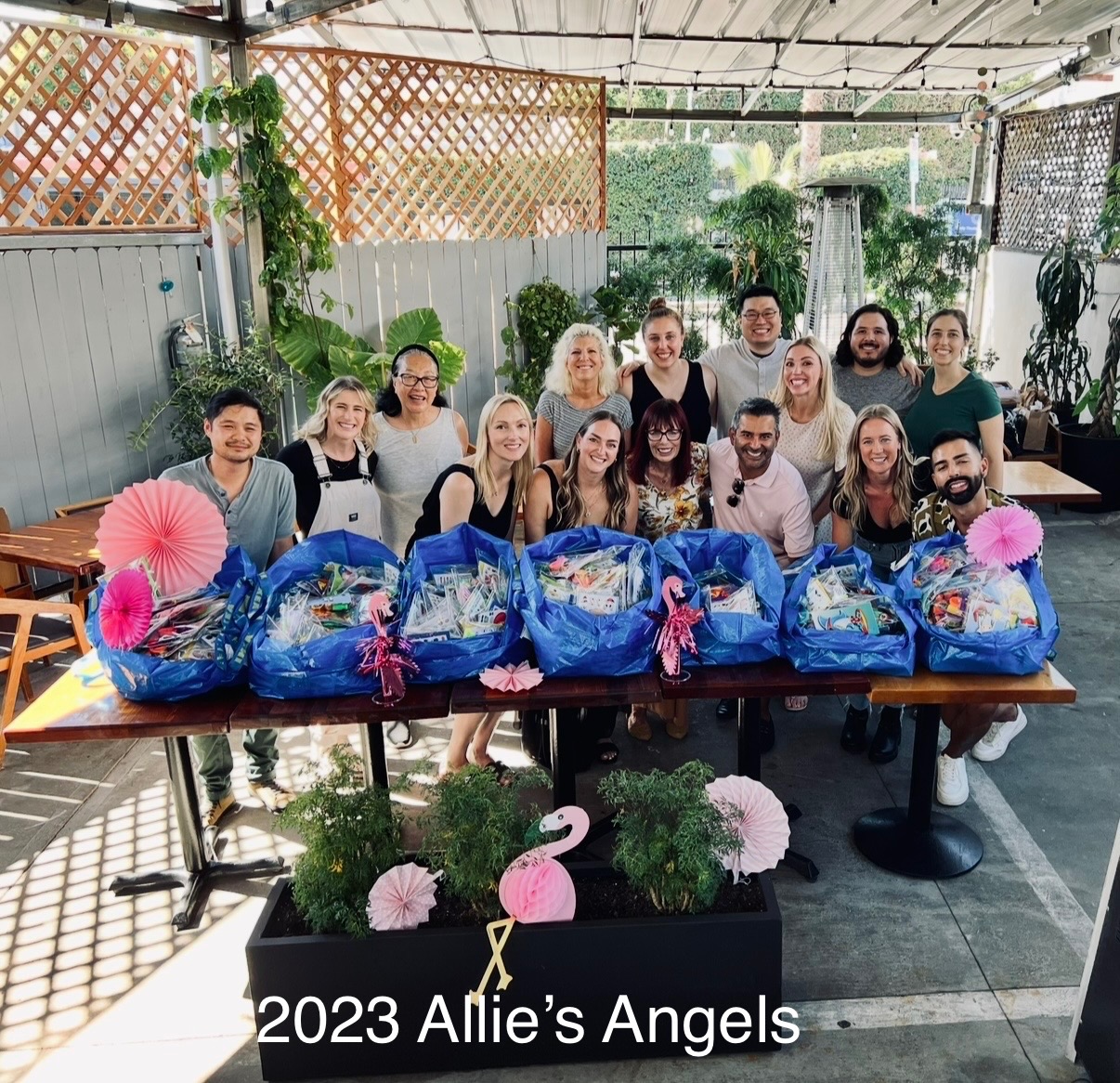 Donate to Allie's Angels for CHLA Kids campaign photo, 5 of 8