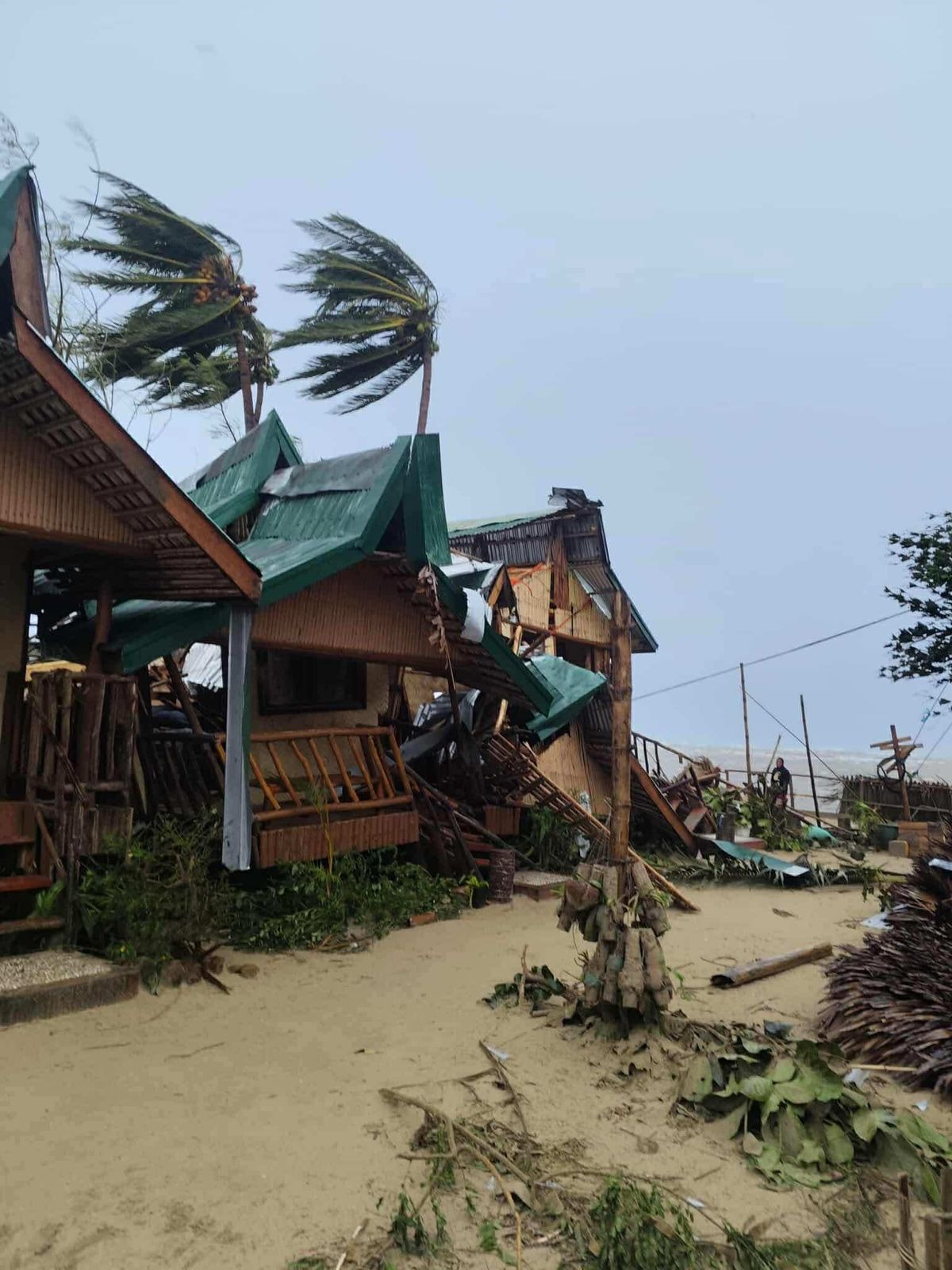 Beach & Beeyond Typhoon Relief Funds campaign photo, 2 of 8