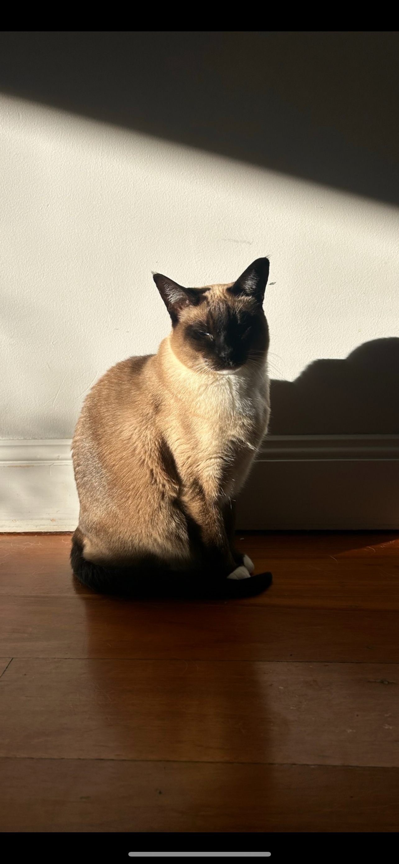 Zola’s life saving surgery campaign photo, 4 of 7