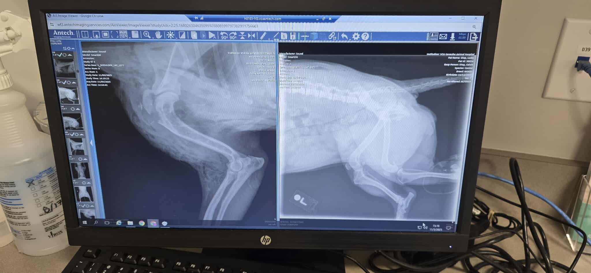 Save Lucky: Urgent Help Needed for Surgery campaign photo, 4 of 7