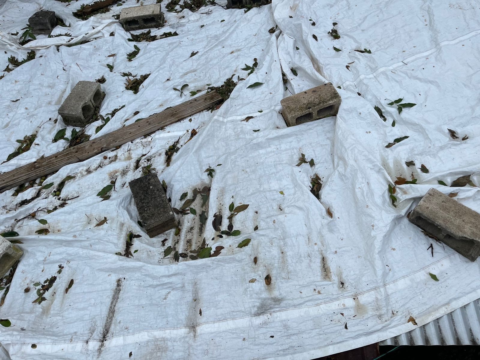 Help Savana Rebuild After Hurricane Devastation campaign photo, 6 of 8