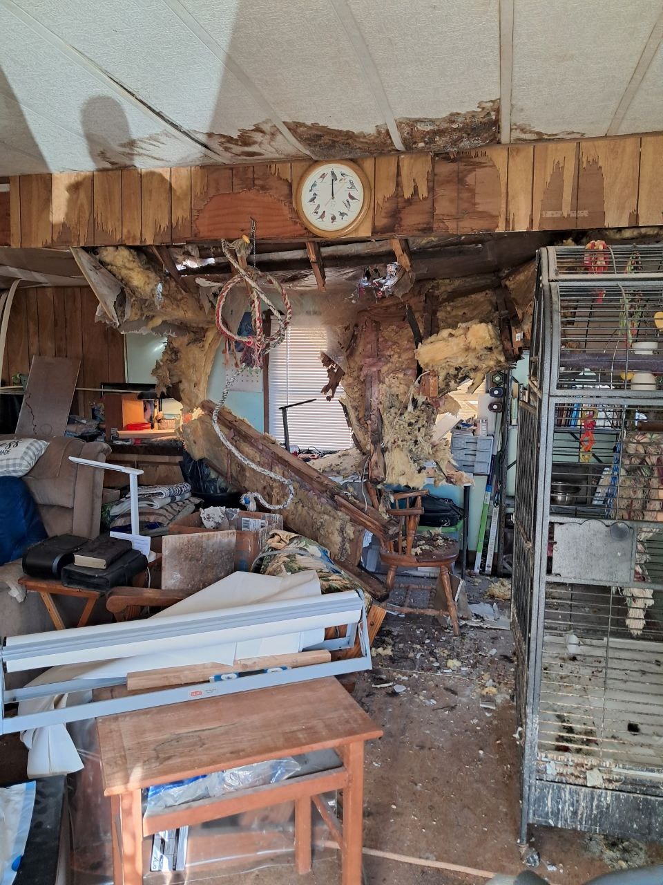 Help Restore Lives After Severe Windstorm campaign photo, 2 of 7