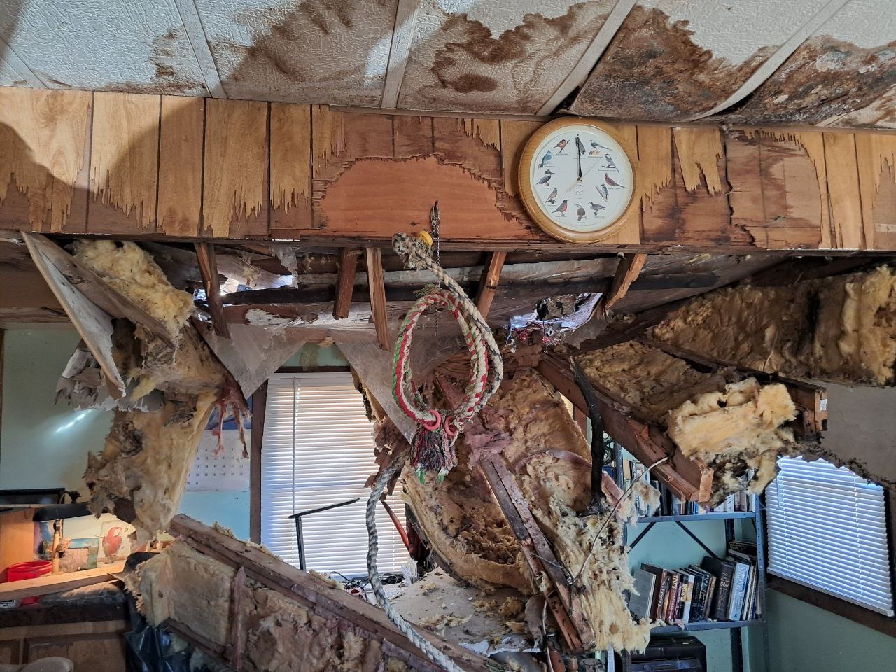 Help Restore Lives After Severe Windstorm campaign photo, 4 of 7